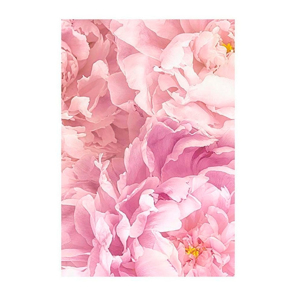 Komar Poster »Soave«, Blumen, (1 St.)