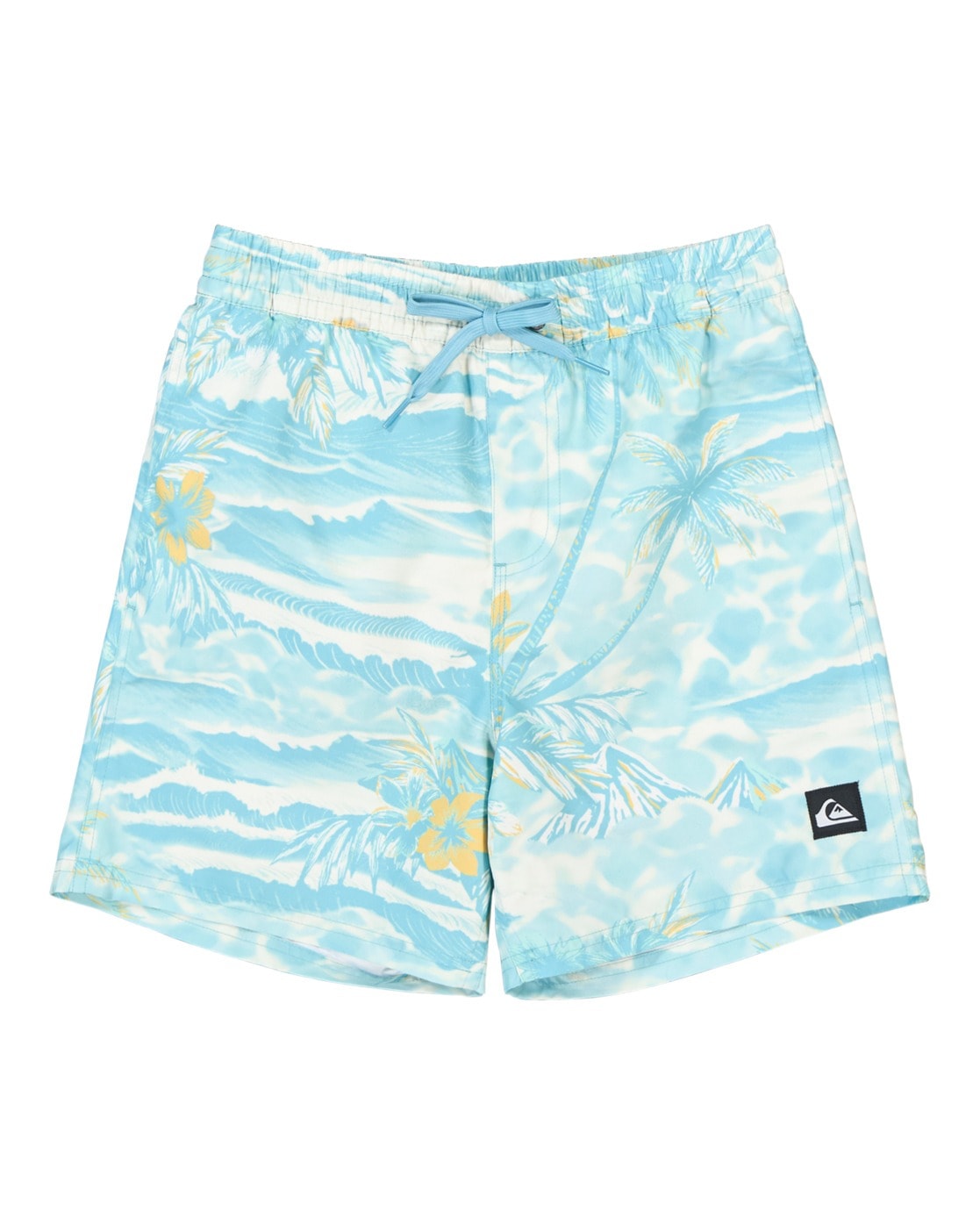 Quiksilver Badeshorts »Everyday Printed Volley 14"«