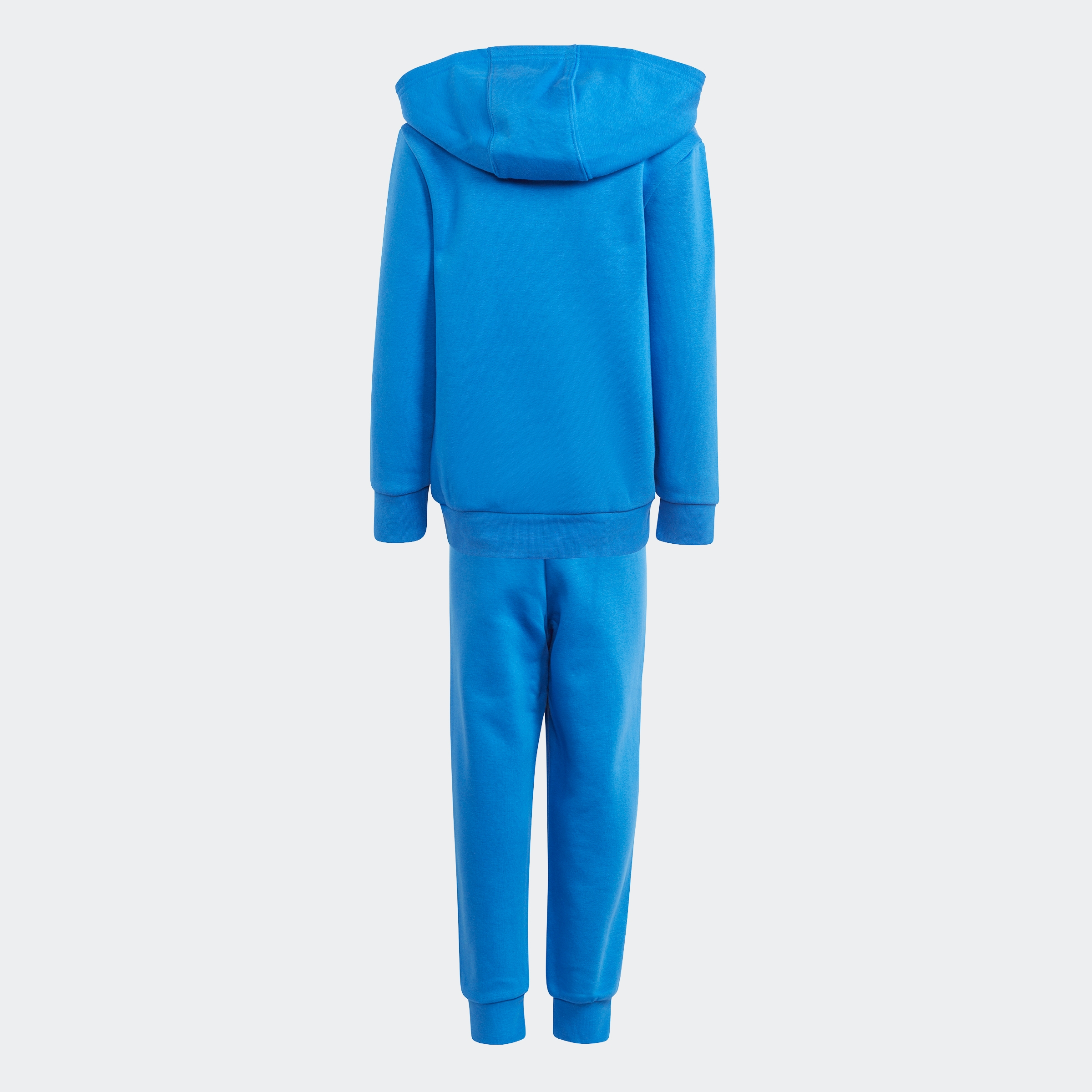 adidas Originals Trainingsanzug »ADICOLOR HOODIE«, (2 tlg.)