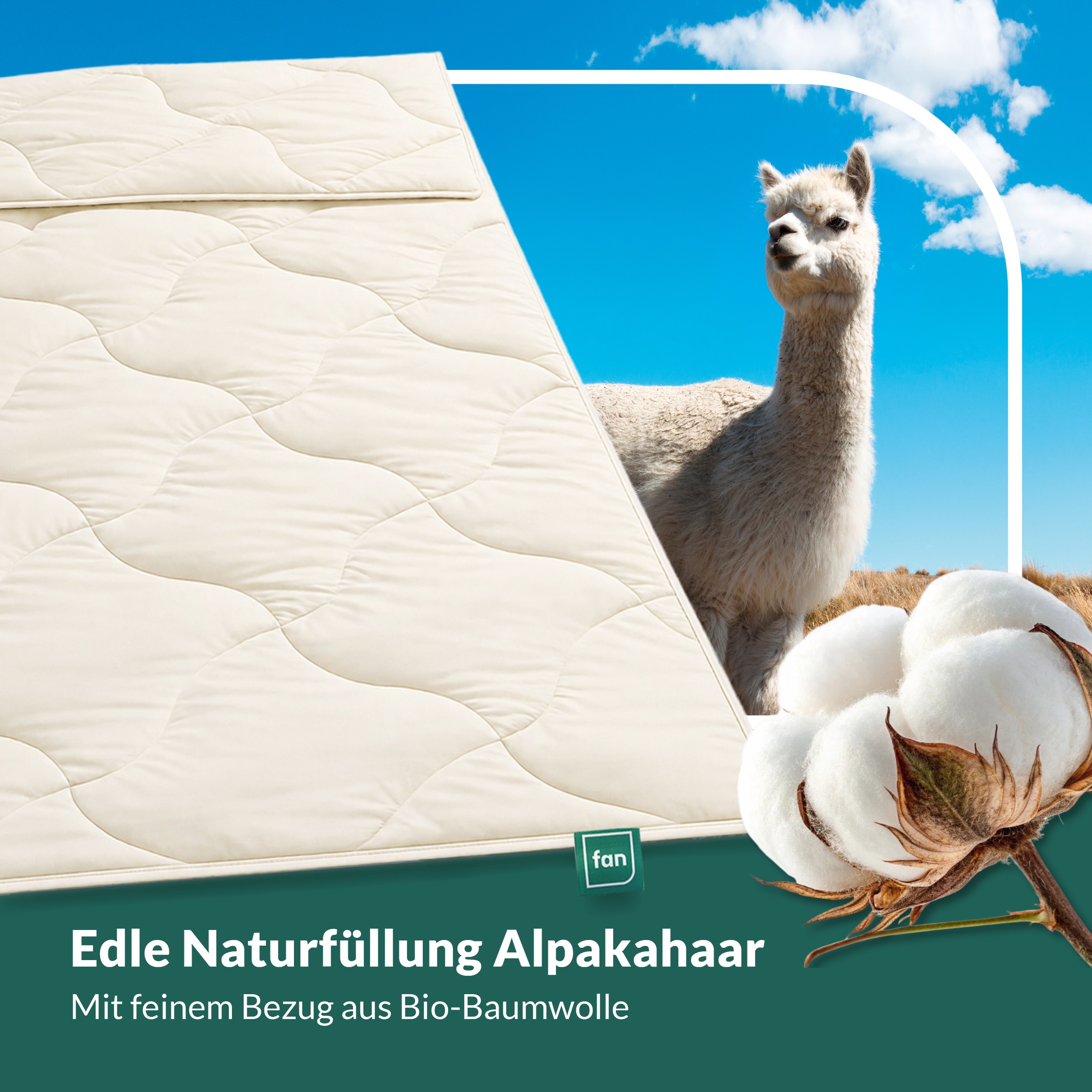 fan Naturhaarbettdecke »Baby Alpaka, Bettdecke in 135x200 und weiteren Größen erhältlich« normal Füllung 97% Alpaka & 3% sonstige Faser 1 Stk. tlg. Bettdecke aus Naturhaar hergestellt in Deutschland