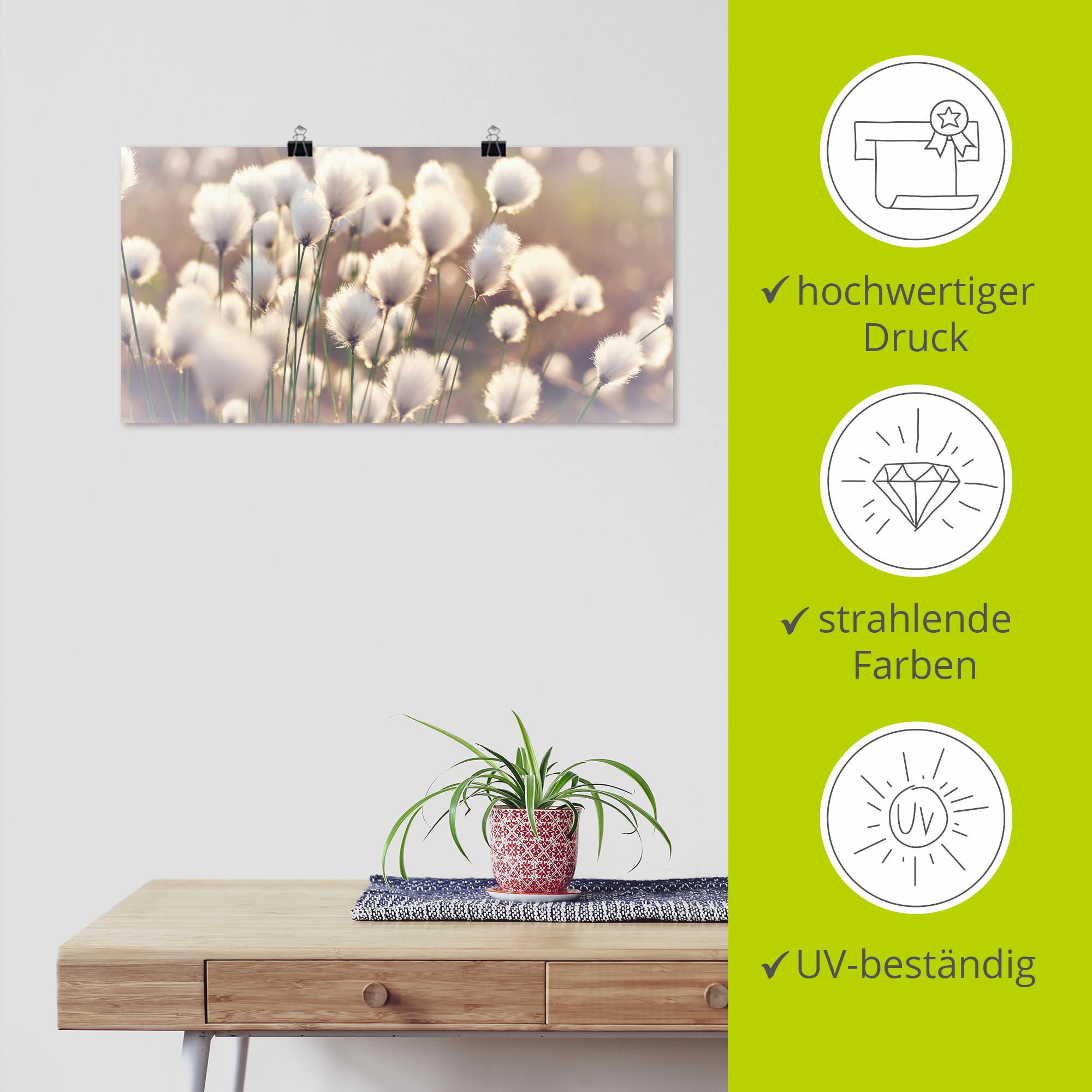 Artland Wandbild »Wollgraszauber im Moor«, Gräser, (1 St.), als Alubild, Outdoorbild, Leinwandbild, Poster, Wandaufkleber