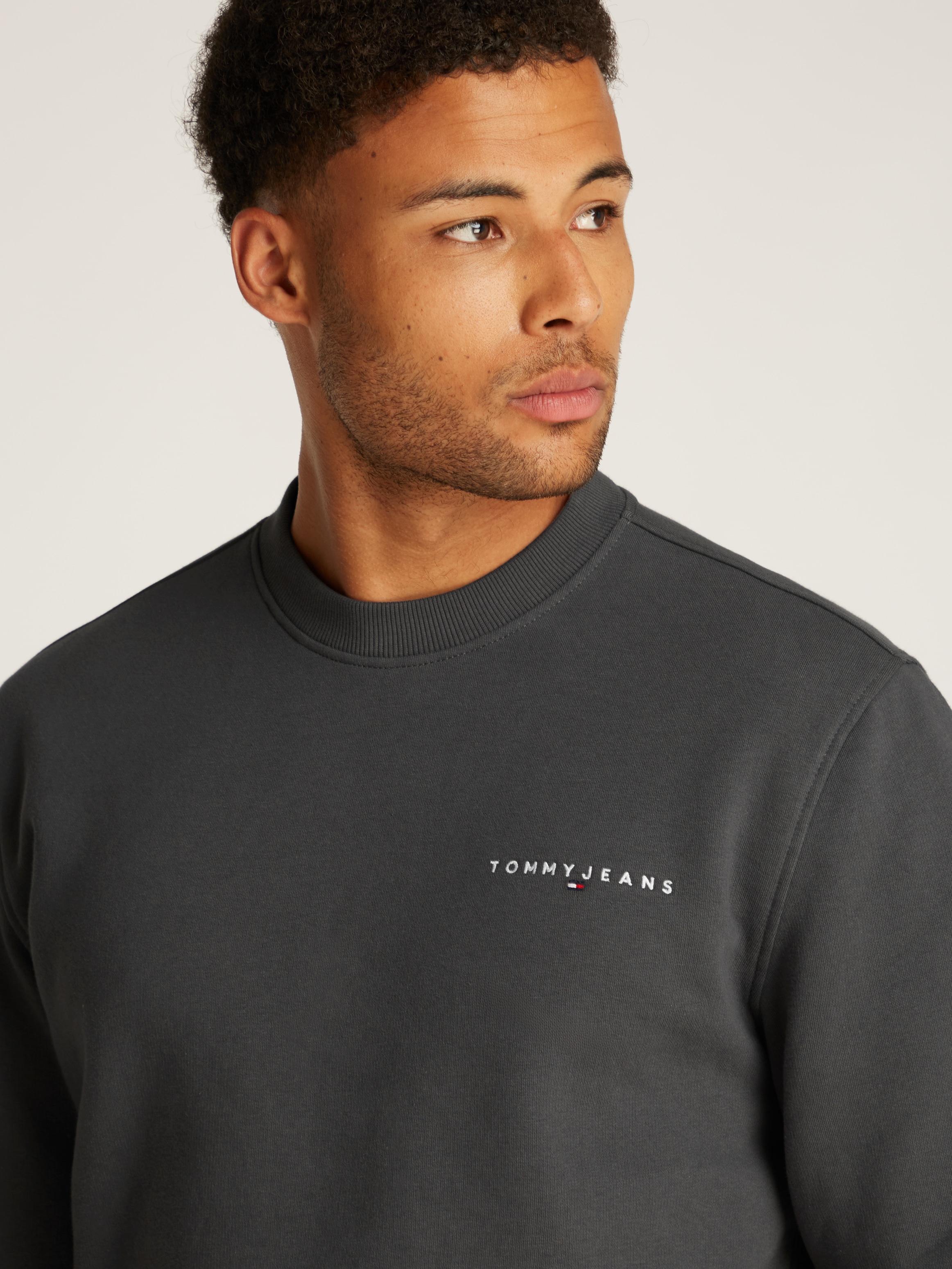Tommy Jeans Sweatshirt »TJM REG LINEAR CREW EXT«, mit Logostickerei