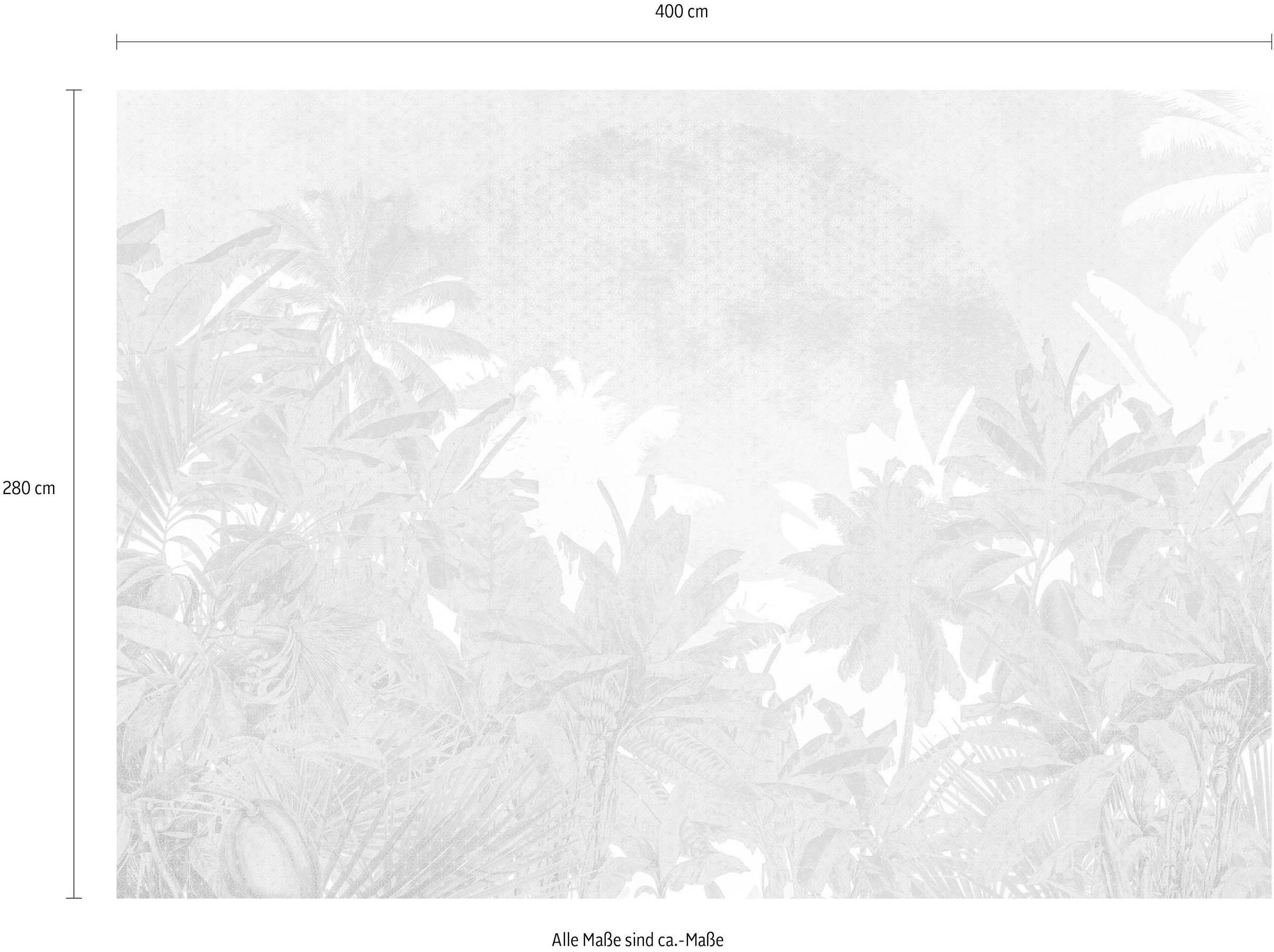 Komar Vliestapete »Digitaldruck Vlies -  Palmiers - Größe 400 x 280 cm« bedruckt glatt Wohnzimmer, Schlafzimmer