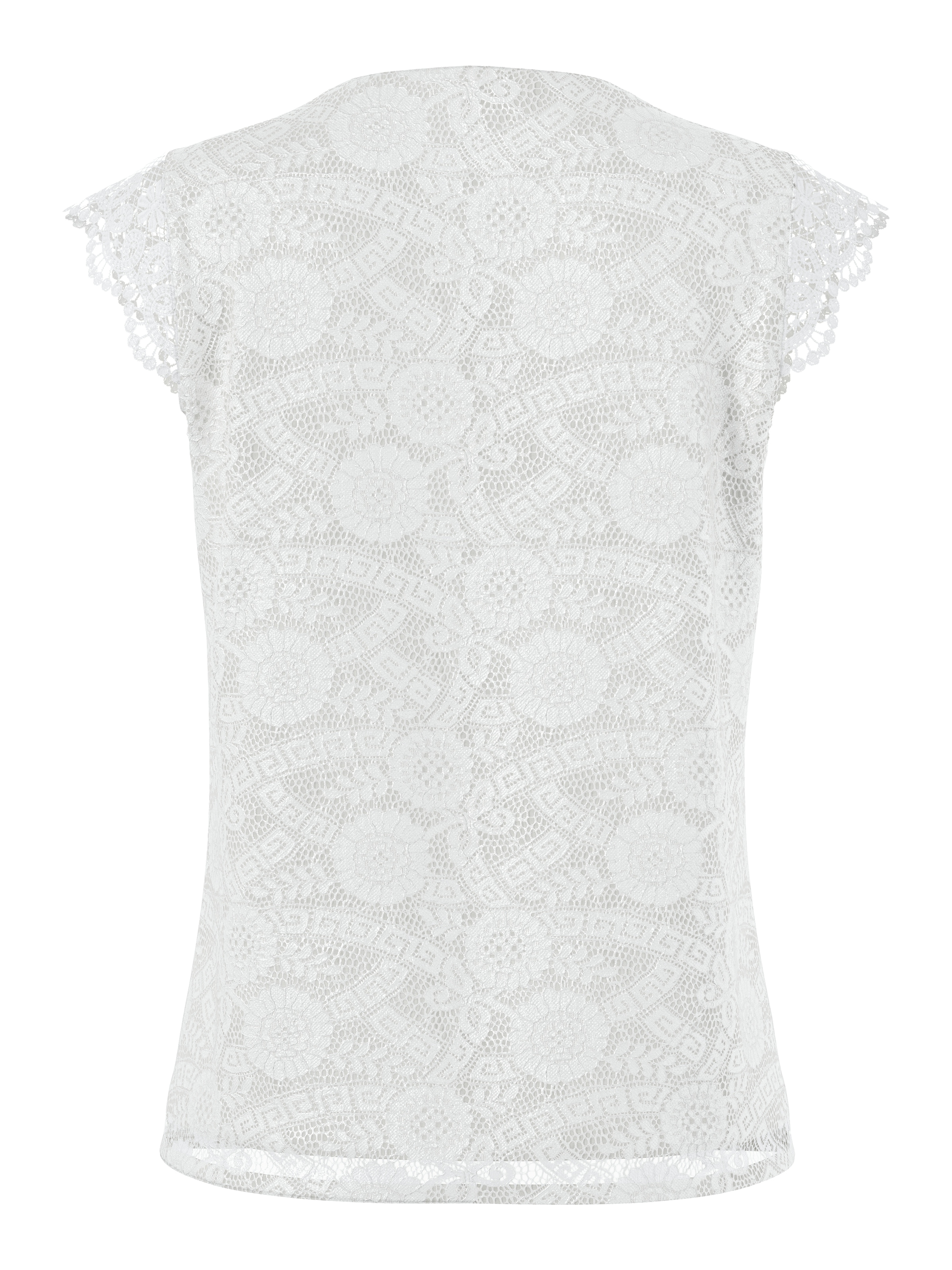 pieces Spitzentop »PCOLLINE SL LACE V-NECK TOP WVN NOOS«