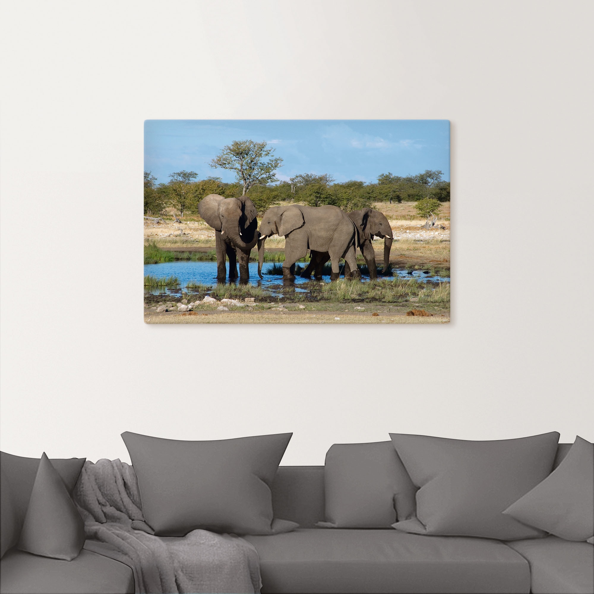 Artland Wandbild »Afrikanischer EtoshaNationalpark«, Wandaufkleber Leinwandbild, Größen oder Elefant Poster St.), bequem versch. (1 Alubild, in als Elefanten kaufen Bilder