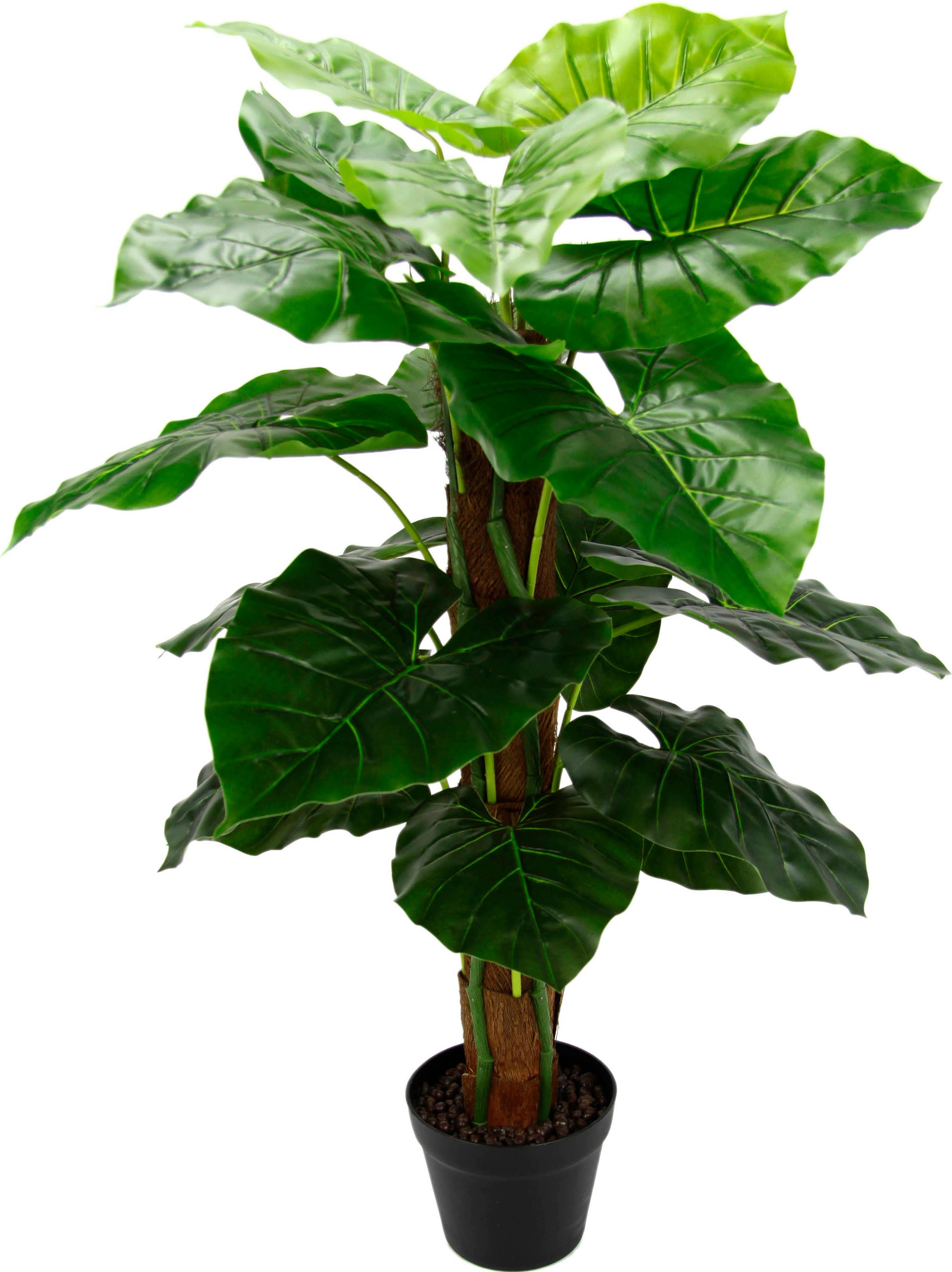 im Garantie | »Splitphilopflanze«, online I.GE.A. Jahren kaufen Kunstpflanze 3 mit XXL Kunststofftopf