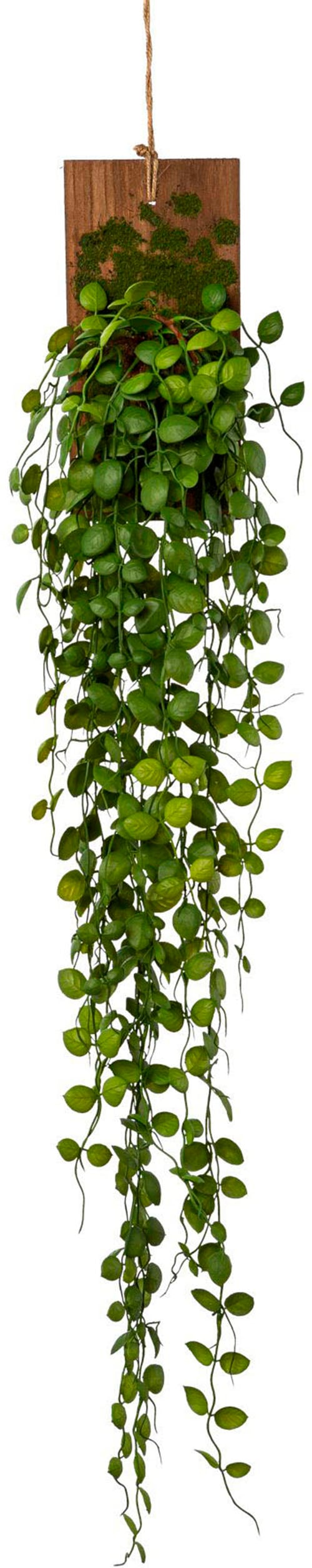 Creativ green Kunstranke »Ranke Mühlenbeckia auf Holz«
