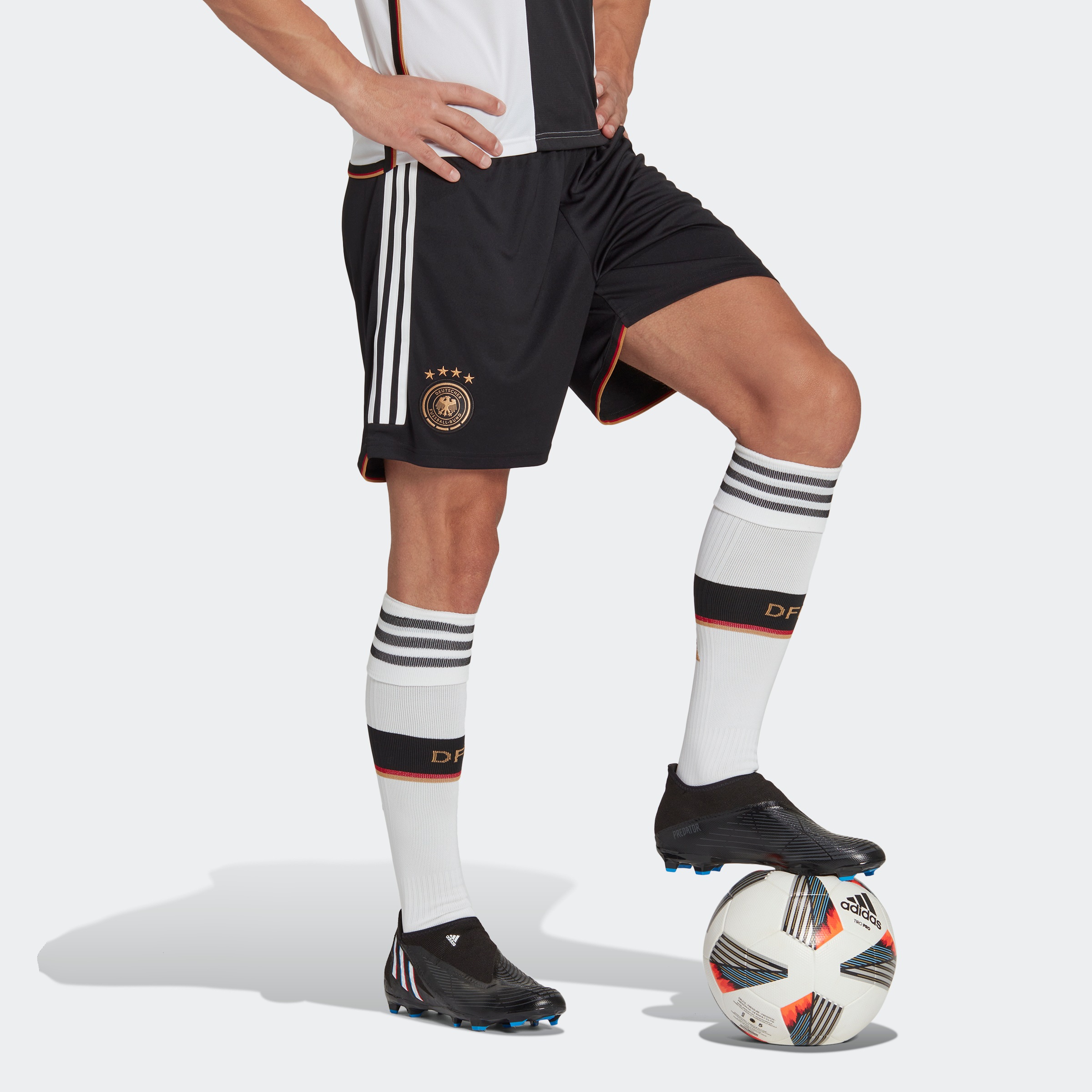 adidas Performance Trainingsshorts »DFB 22 HEIMSHORTS«, WM 2022 Shorts kaufen