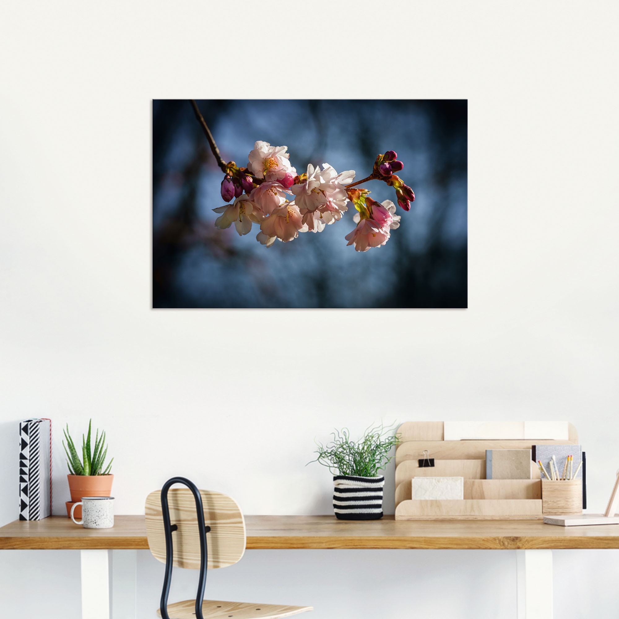 Artland Alu-Dibond-Druck »Kirschblüte im Frühling«, Blumenbilder, (1 St.), für Innen- und Außenbereich geeignet, Outdoorbild