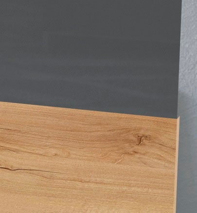 Places of Style Vitrine »Onyx«, mit Soft-Close-Funktion