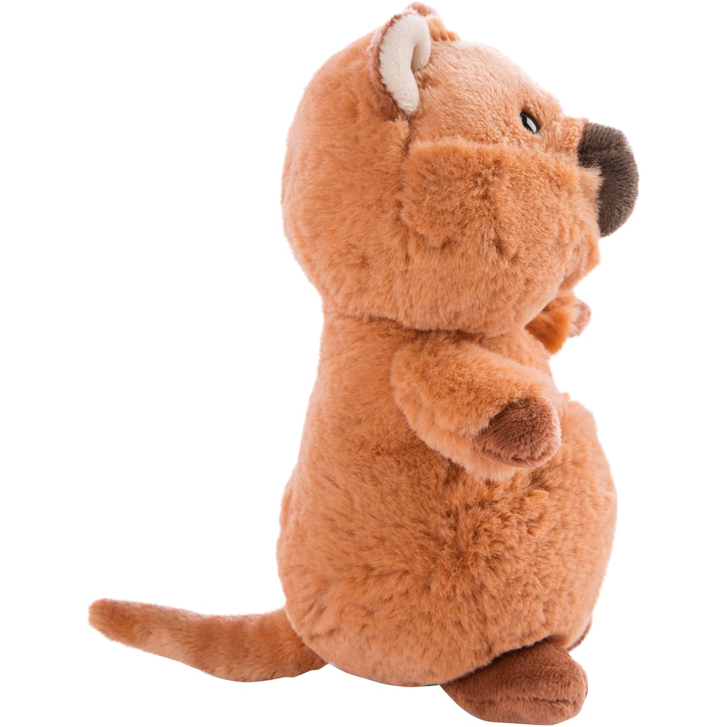 Nici Kuscheltier »Wild Friends GREEN, Kuscheltier Quokka-Mola, 22cm«