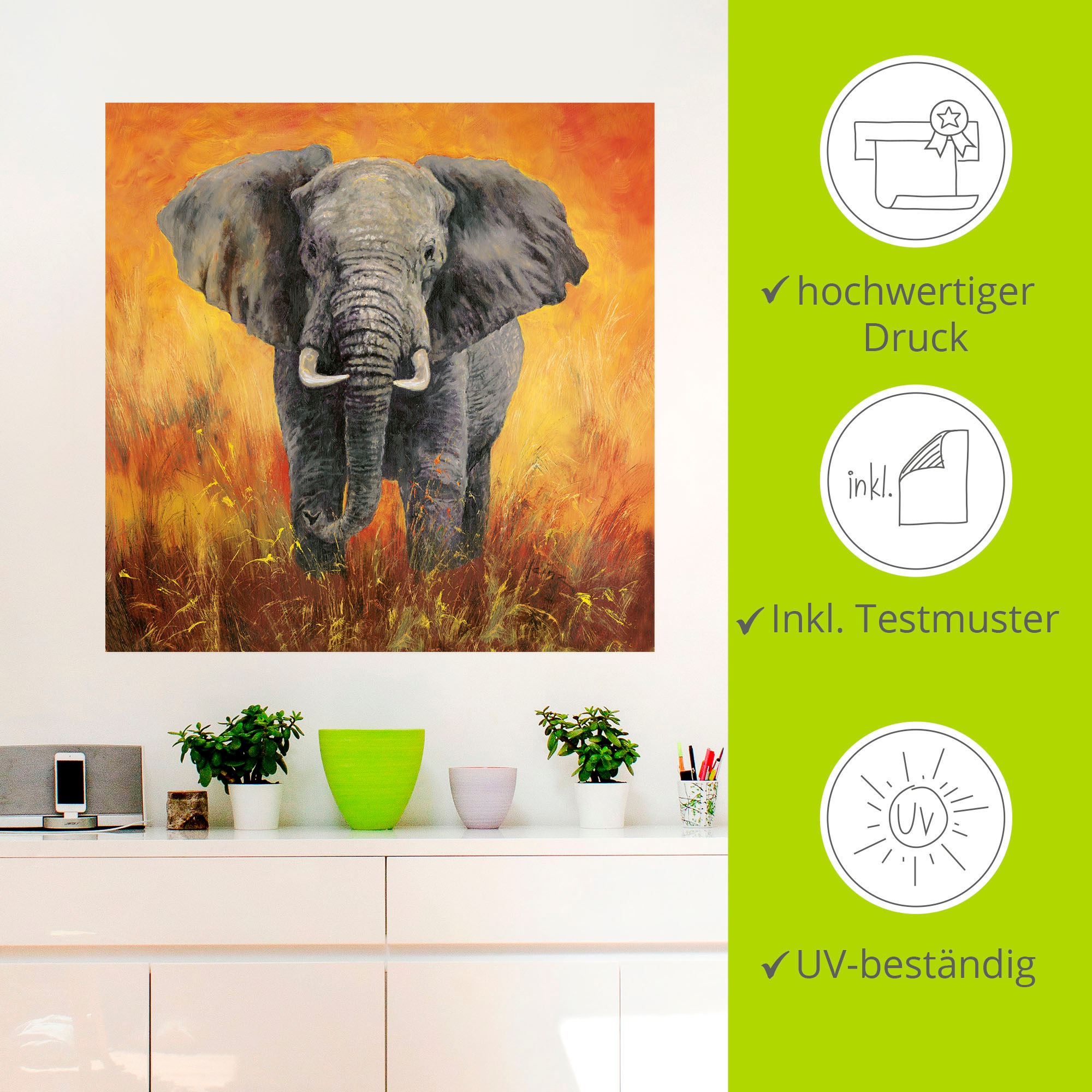 Artland Wandbild »Porträt in Poster Raten auf Elefant«, Alubild, versch. als oder Bilder, St.), bestellen Wandaufkleber (1 Leinwandbild, Elefanten Größen