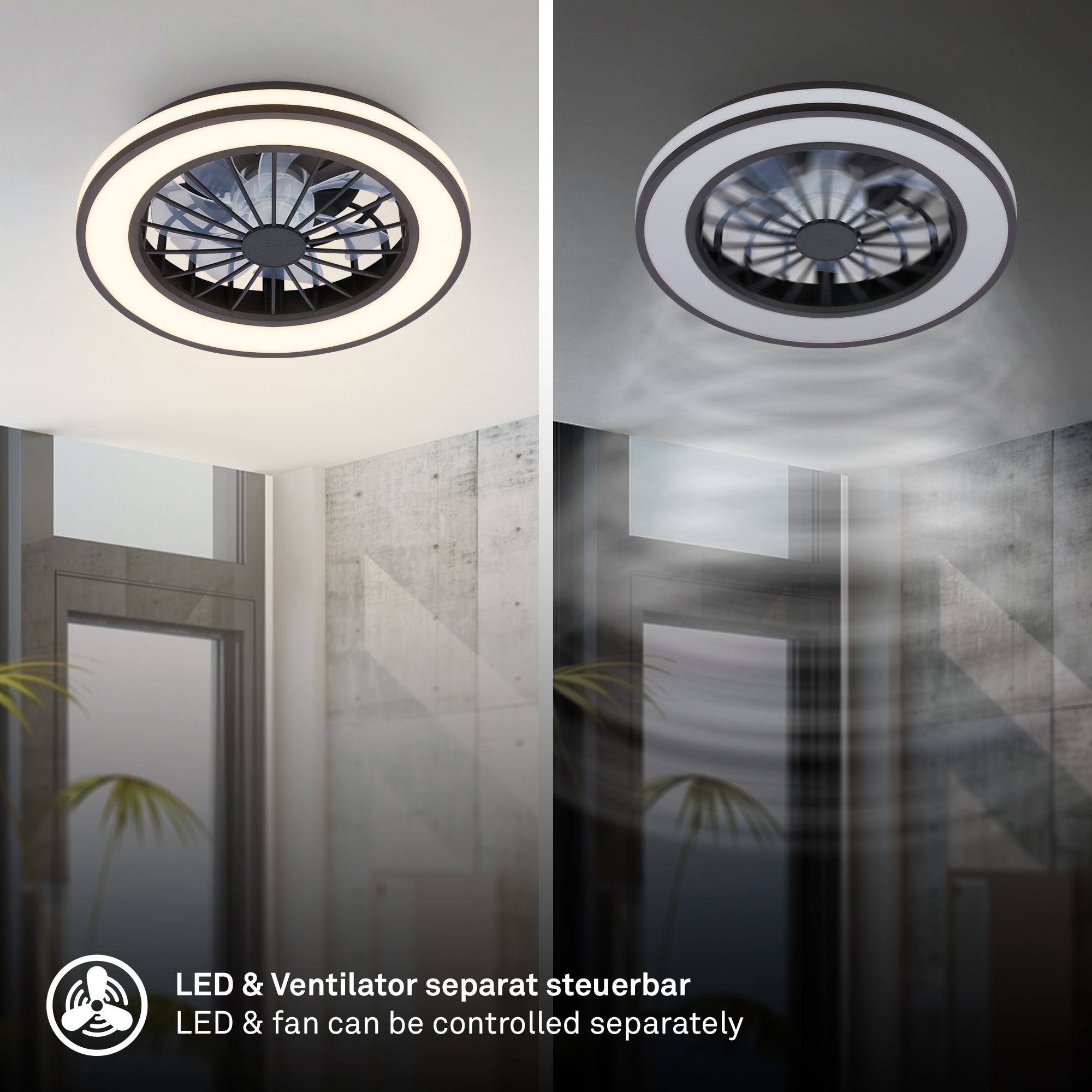 Briloner Leuchten LED Deckenleuchte »VENTURO« LED-Board 1 Stk. warmweiß - kaltweiß 38 x 14 cm (DxH), Schlafzimmer, Wohnzimmer, Esszimmer, Flur, Küche