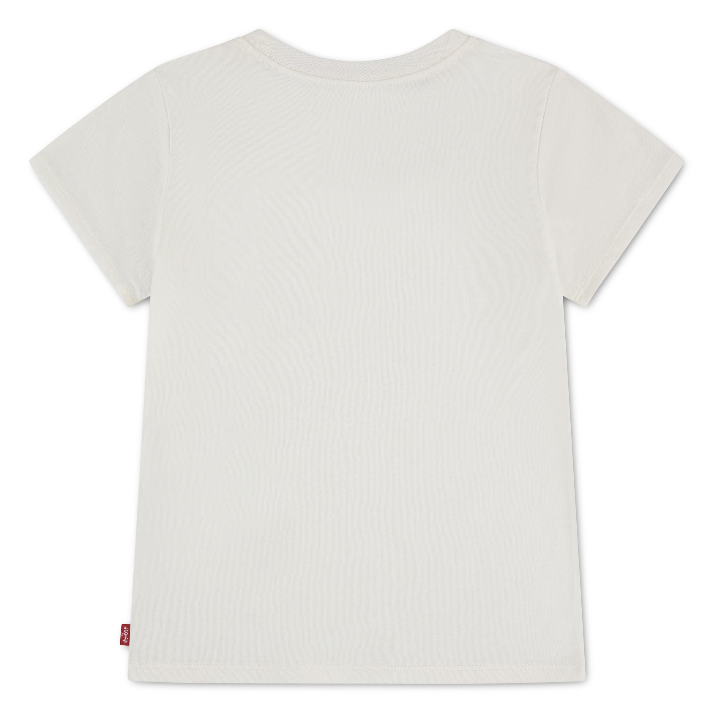 Levi's® Kids T-Shirt »LVG BATWING SEASONAL FILL TEE« mit Batwing-Print