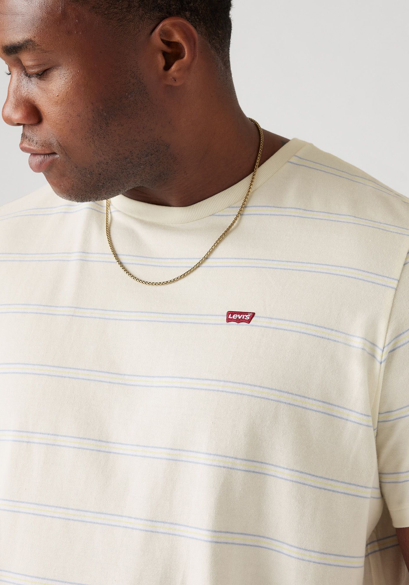 Levi's® Plus Rundhalsshirt »BIG ORIGINAL HM TEE«, im Ringel-Dessin