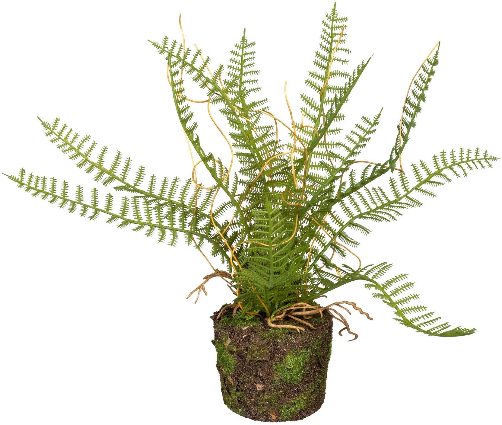 Creativ green Künstliche Zimmerpflanze »Set aus Farnpflanzen auf Wurzelballen«, 3er Set