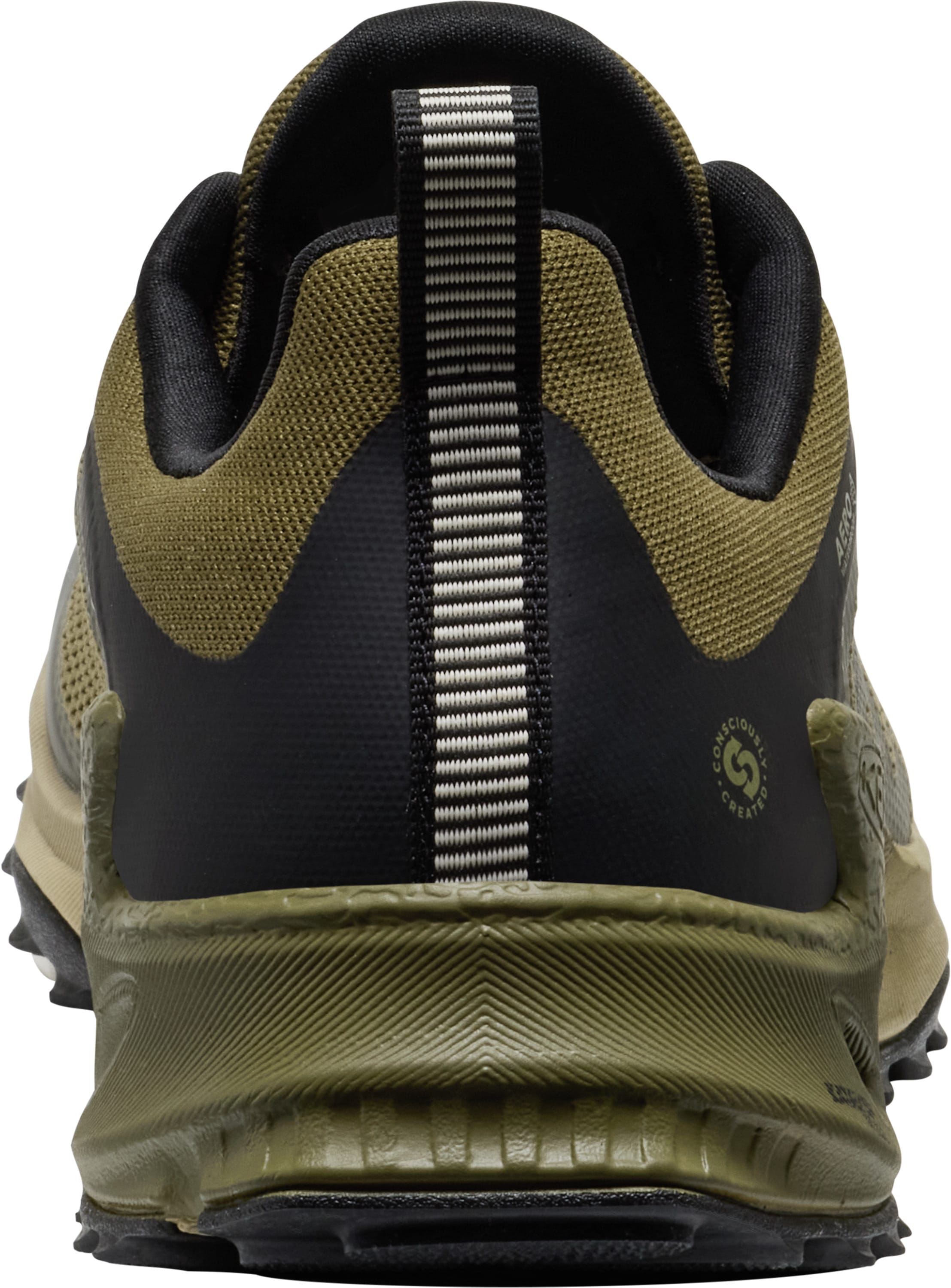 Keen Outdoorschuh »ZIONIC NXT WP«  wasserdicht