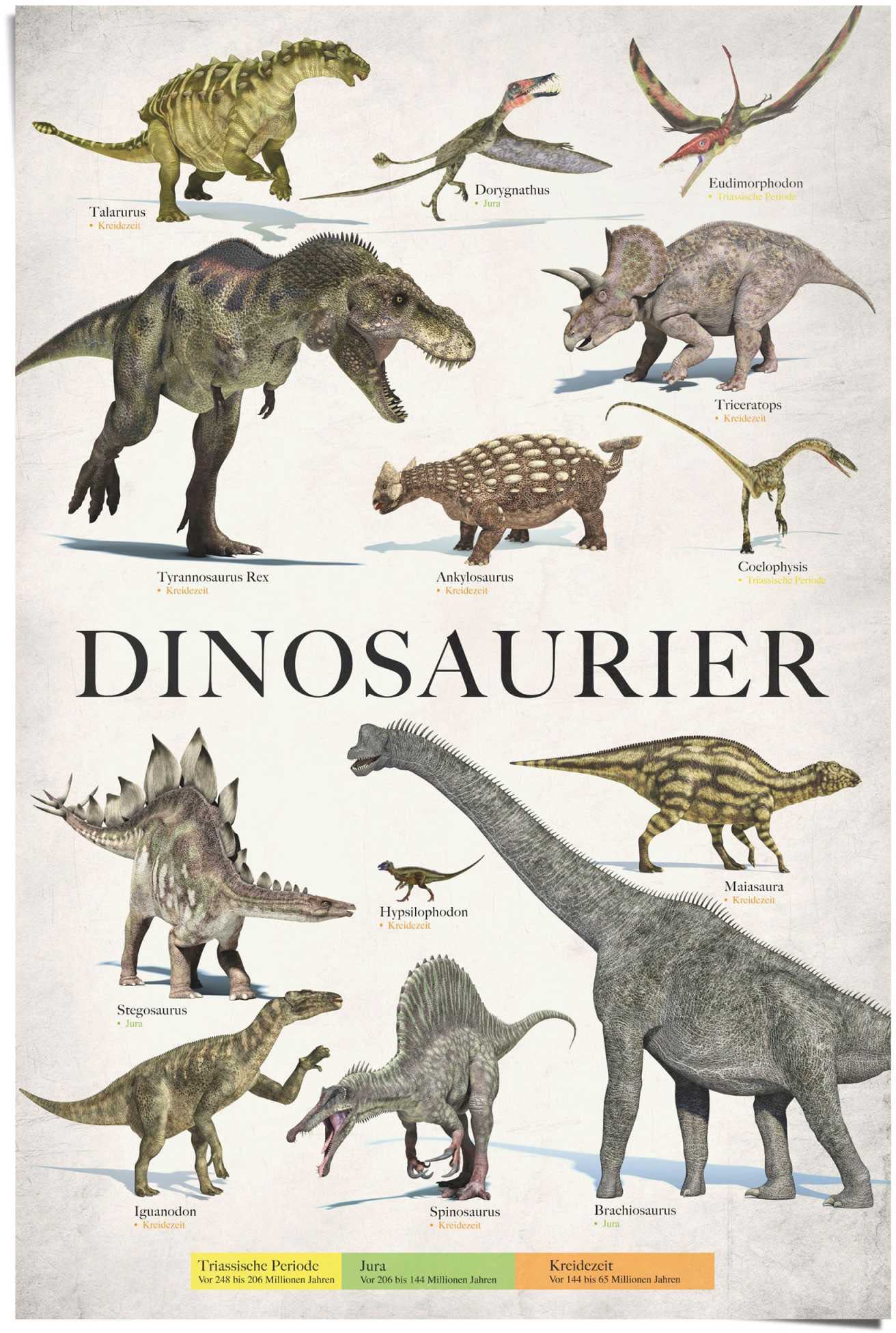 Reinders! Poster »Dinosaurier«, Rechnung St.) bestellen auf (1