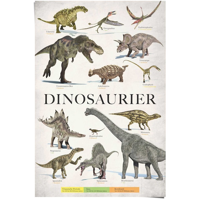 Reinders! Poster »Dinosaurier«, (1 St.) auf Rechnung bestellen