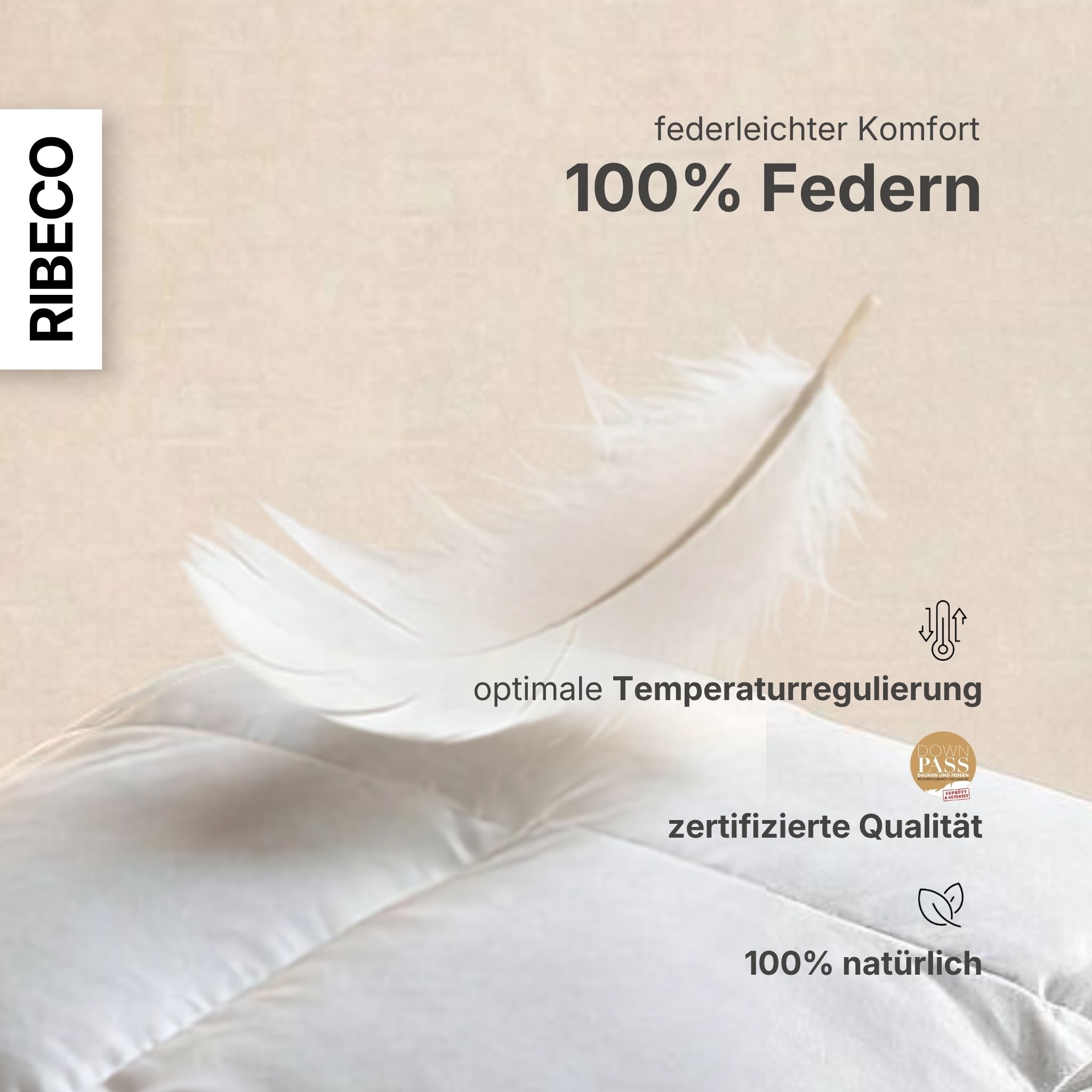 RIBECO Federbettdecke »Bettdecke in 135x200 und 155x220cm Topseller,« extrawarm Füllung 90Federnund10Daunen 1 Stk. tlg. Daunen und Federn, Made in Germany, mit gratis 80x80 cm Kissen