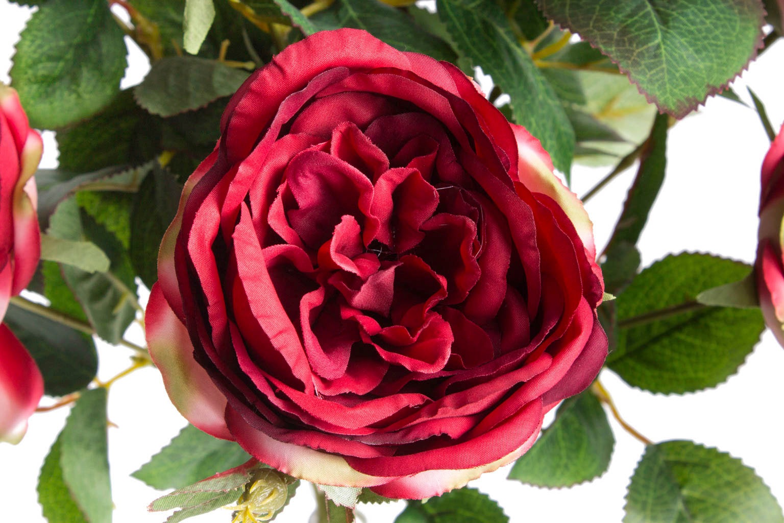 Botanic-Haus Kunstblume »Englischer Rosenbusch« auf Rechnung bestellen