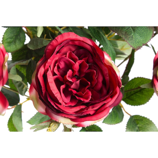 Botanic-Haus Kunstblume »Englischer Rosenbusch« auf Rechnung bestellen