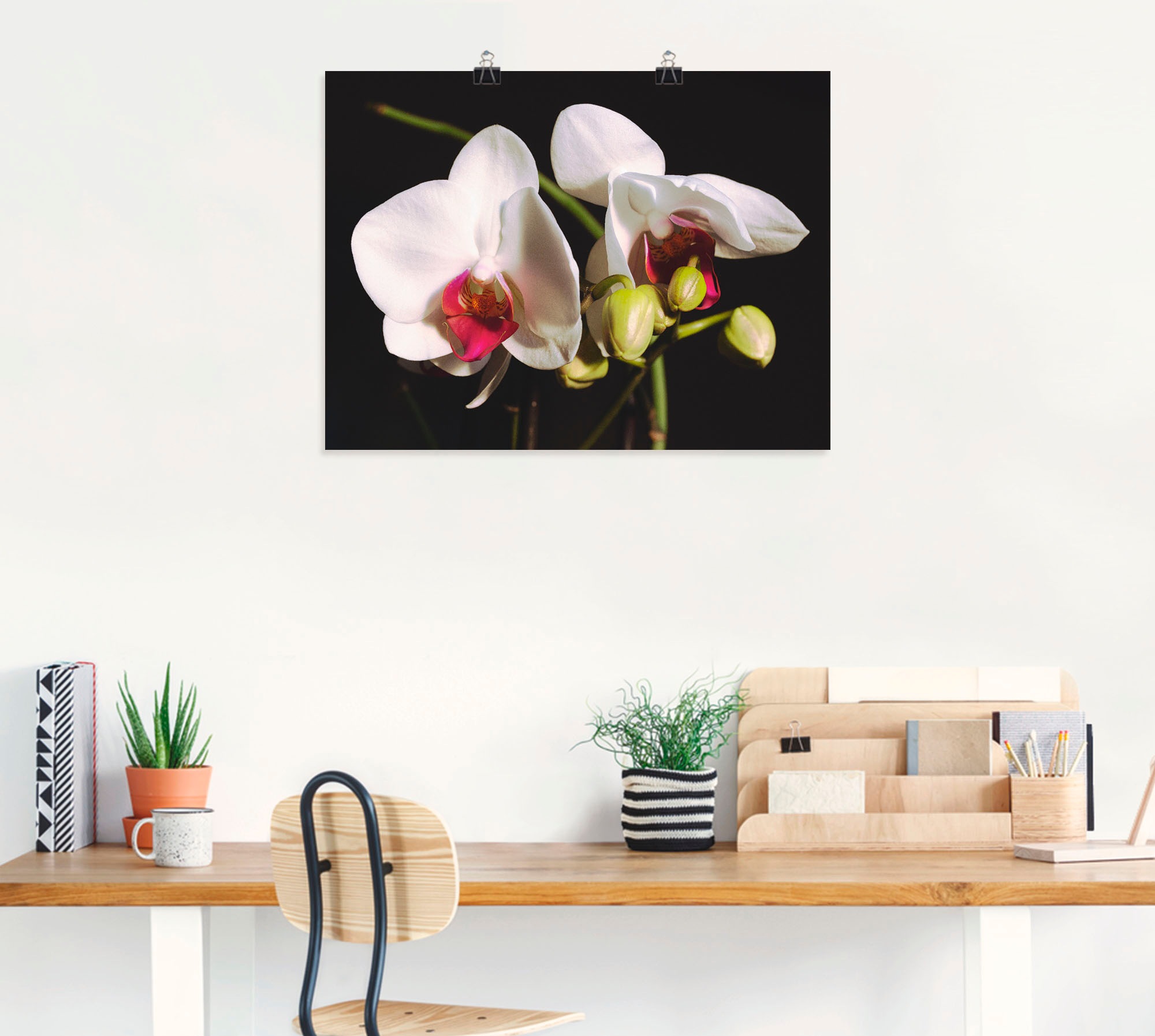 Artland Wandbild »weiße Orchidee«, Blumen, (1 St.), als Leinwandbild,  Wandaufkleber oder Poster in versch. Größen auf Raten kaufen | Poster