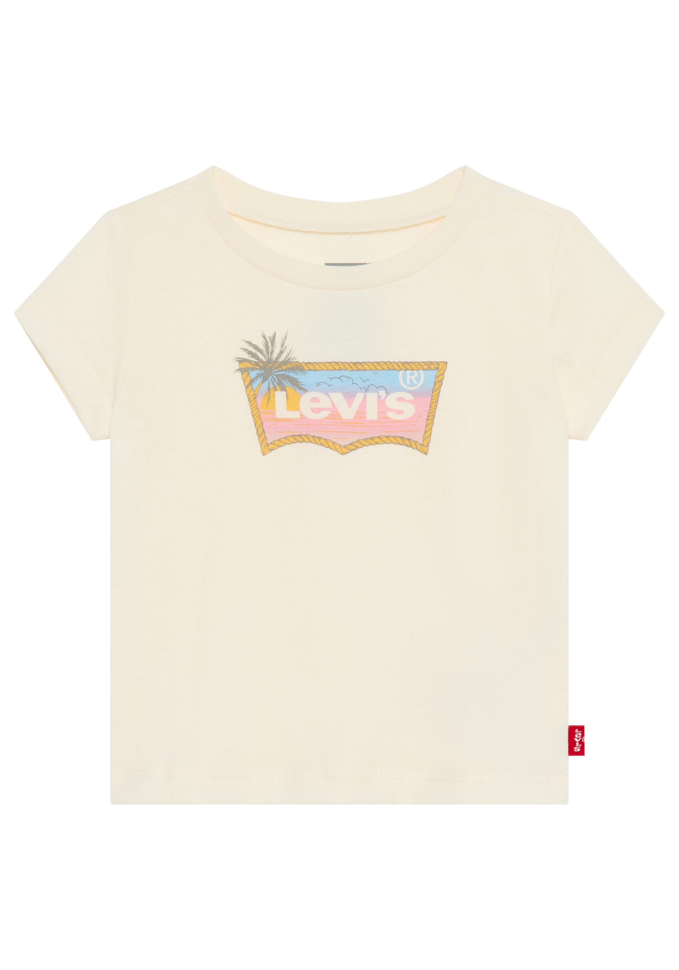 Levi's® Kids T-Shirt »LVG OMBRE BATWING TEE« mit Sundowner-Logoprint