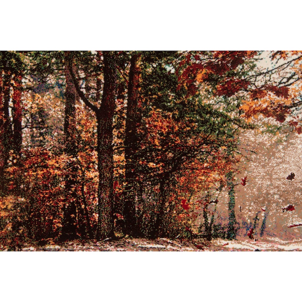 morgenland Wandteppich »Bild-Teppich Figurativ 115 x 65 cm«, rechteckig