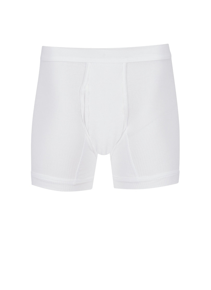 Trigema Schlüpfer »TRIGEMA Unterhose Doppelripp im Doppelpack« 2 Stk.