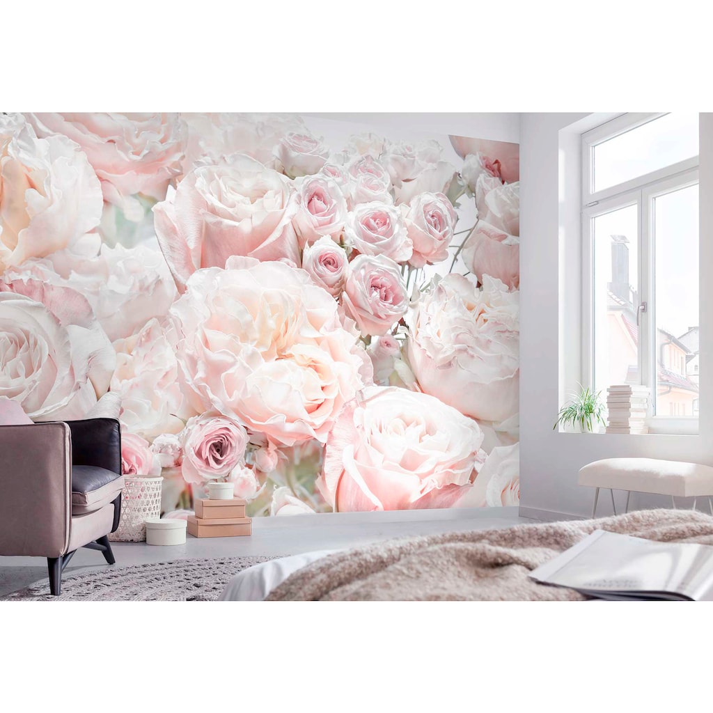 Komar Fototapete »Spring Roses«, 368x254 cm (Breite x Höhe), inklusive Kleister