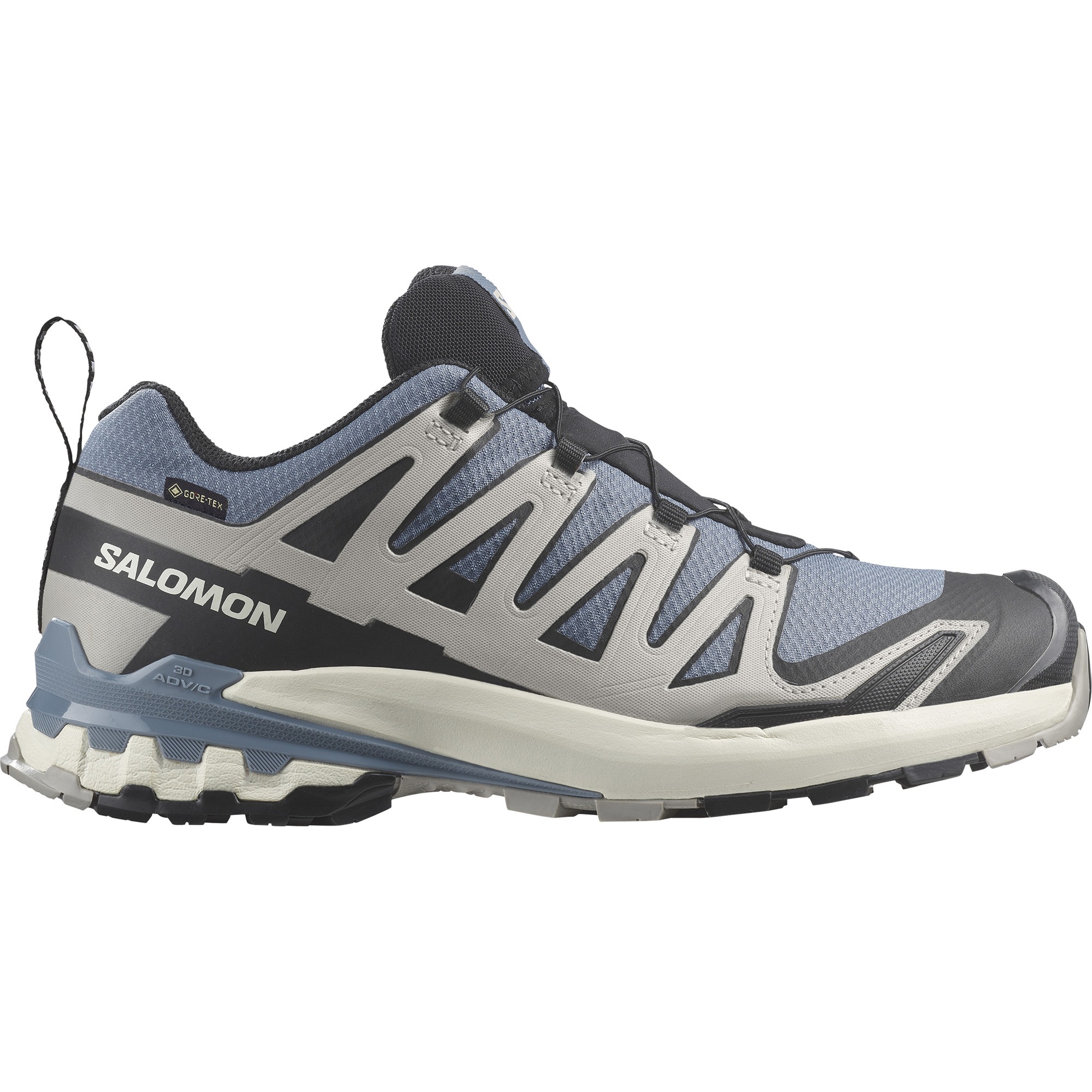 Salomon Trailrunningschuh »XA PRO 3D V9 GORE-TEX«, wasserdicht