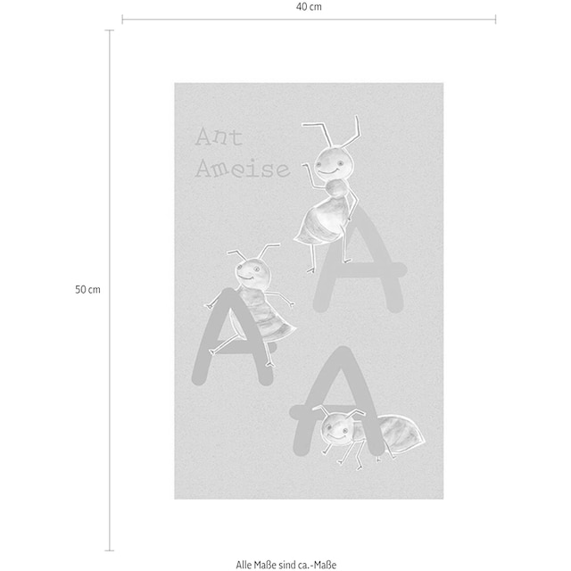 Komar Poster »ABC Animal A«, Buchstaben, Kinderzimmer, Schlafzimmer,  Wohnzimmer online kaufen | mit 3 Jahren XXL Garantie