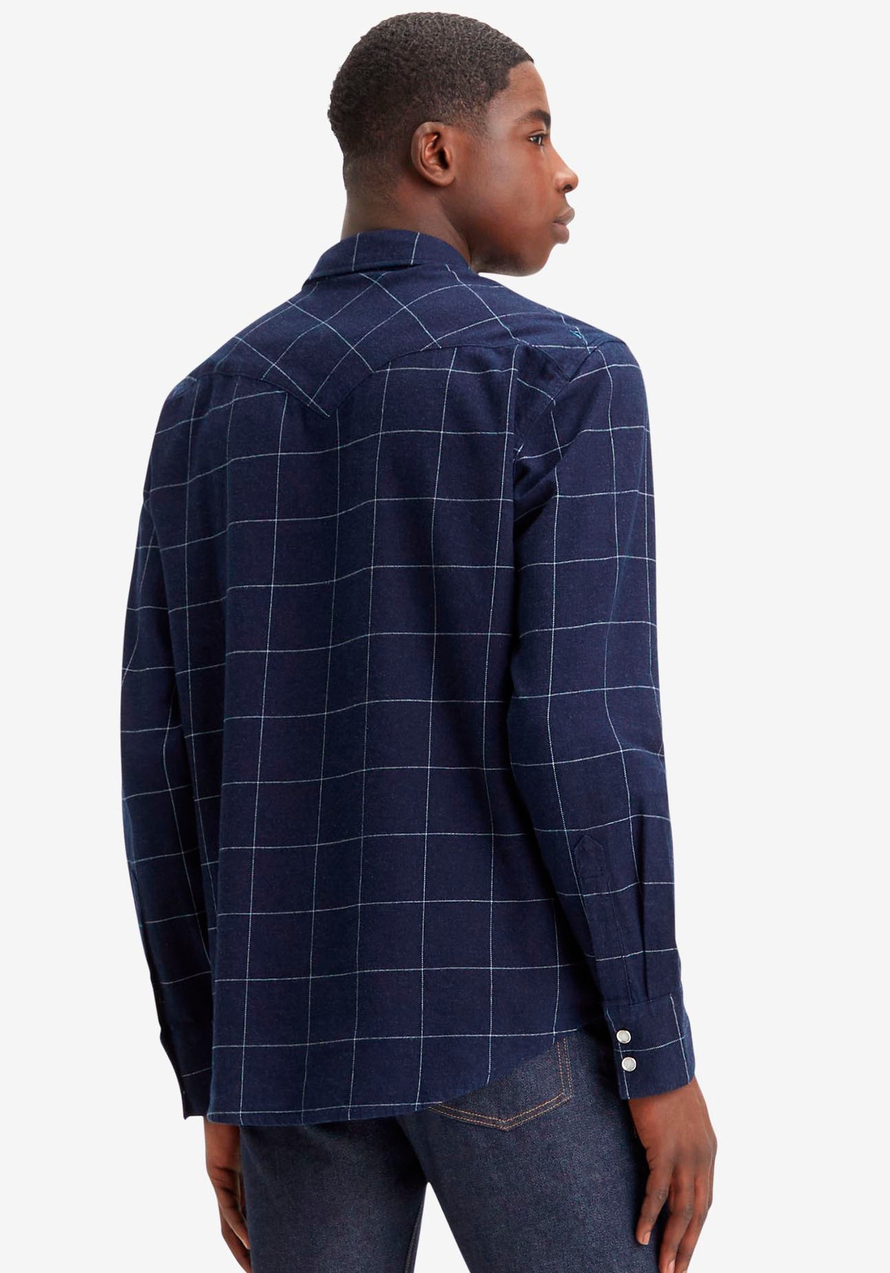 Levi's® Flanellhemd »BARSTOW WESTERN STANDARD«, in verschiedenen Karo-Dessins
