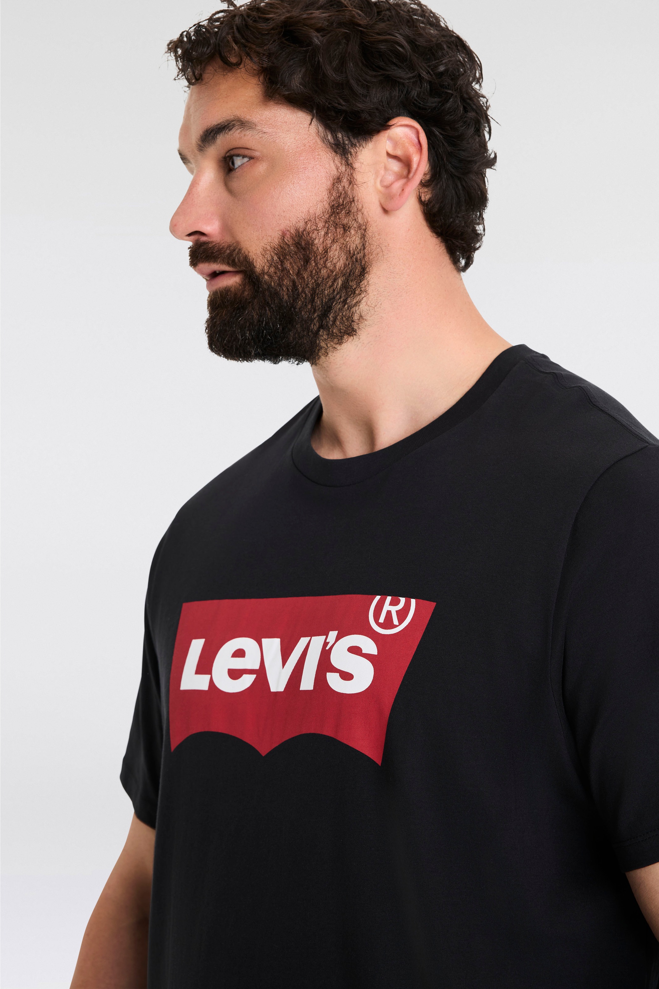 Levi's® Plus T-Shirt »LE B&T BIG GRAPHIC TEE«, mit Logofrontprint