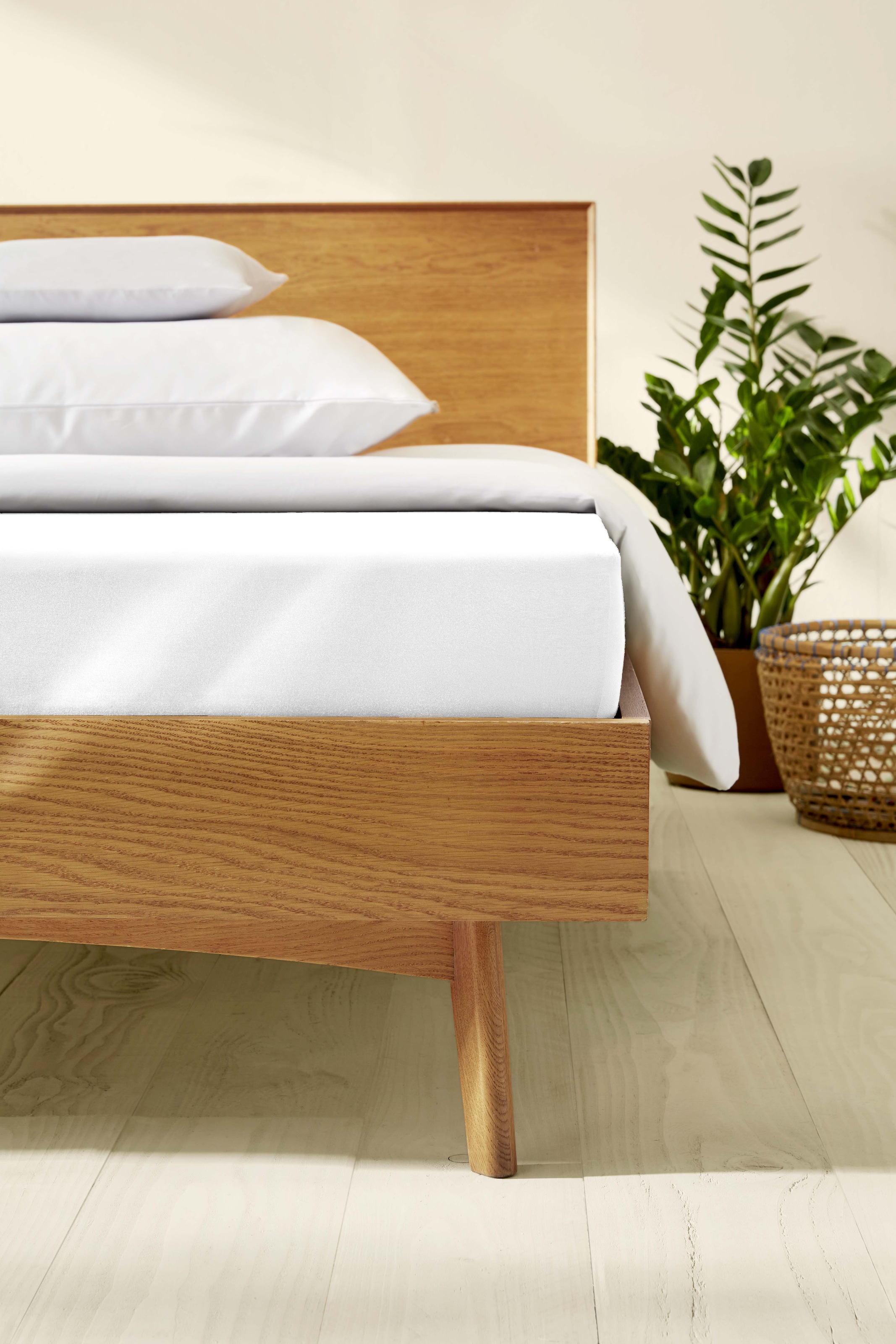 Kaeppel Spannbettlaken »Single Jersey Mako Cotton«, Bettlaken aus 100% Baumwolle