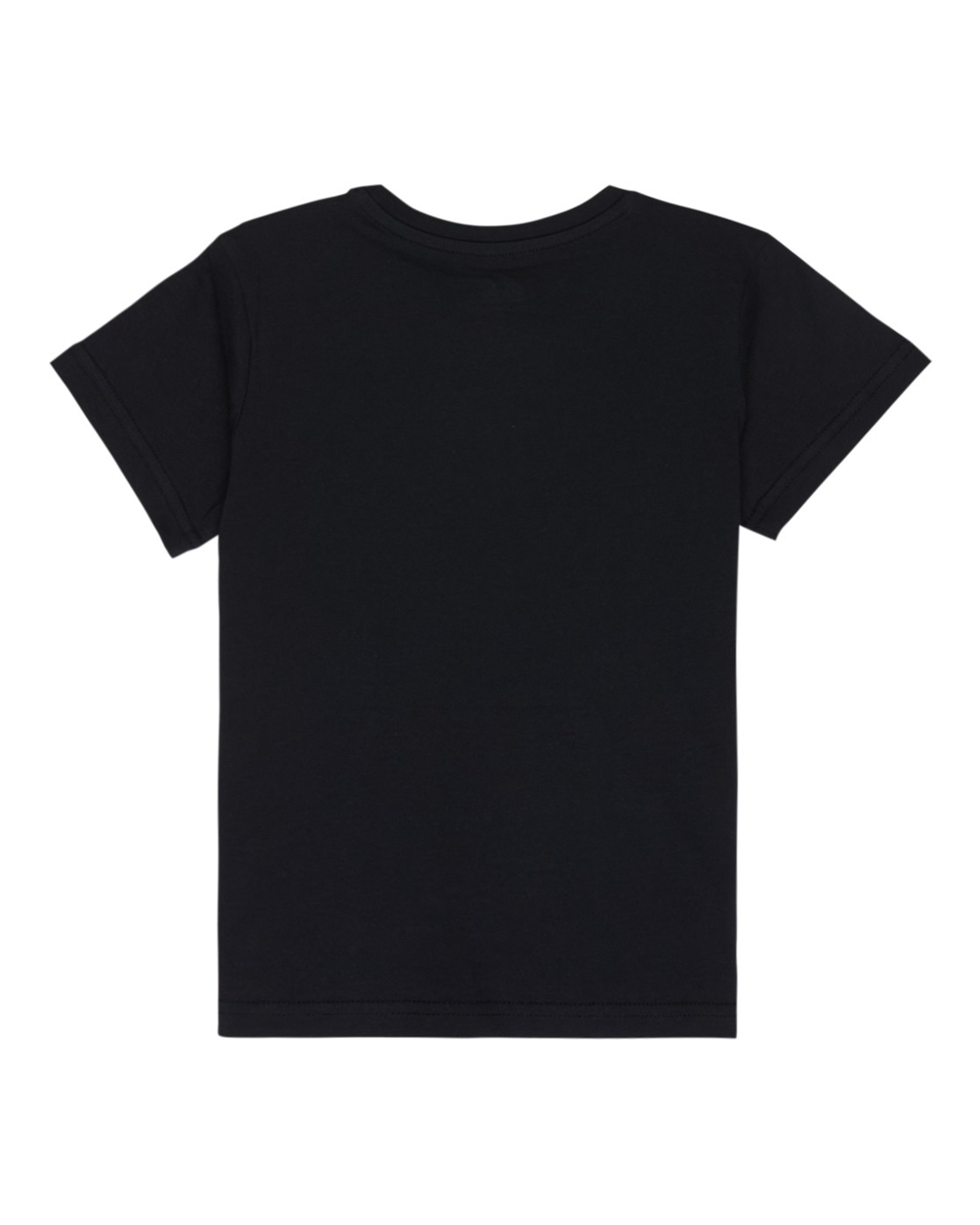 Quiksilver T-Shirt »Ev Palm Horizon«