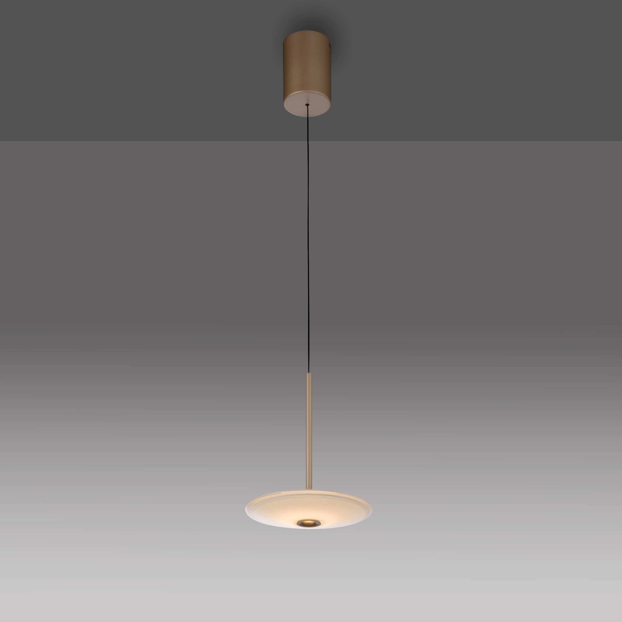 Paul Neuhaus LED Pendelleuchte »ELIPSA« LED-Board 1 Stk. Warmweiß Dimmfähig über separaten Tronicdimmer, Comfort-Lift