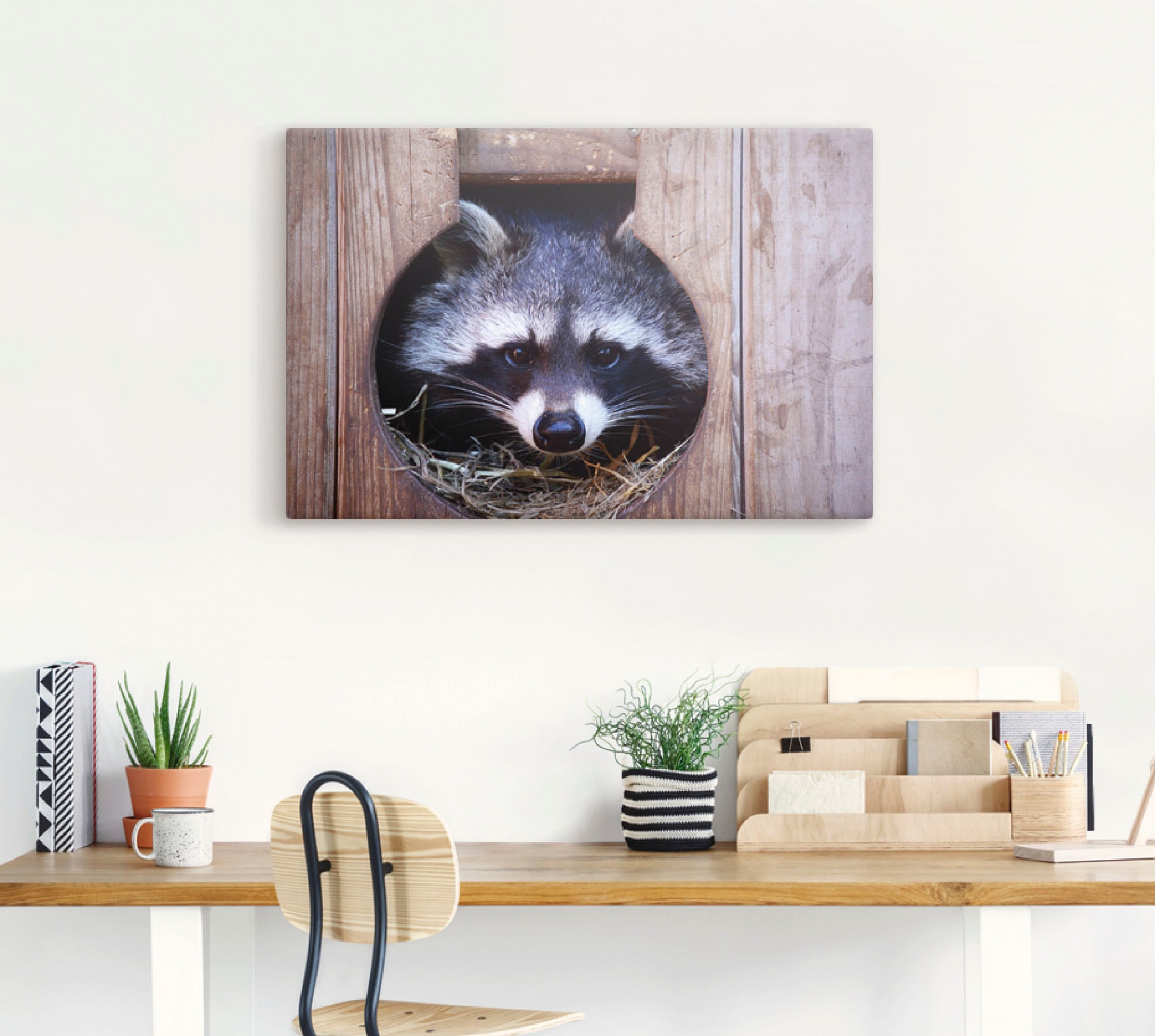Artland Wandbild »Niedlicher kleiner Waschbär«, Wildtiere, (1 St.), als Leinwandbild, Wandaufkleber in verschied. Größen