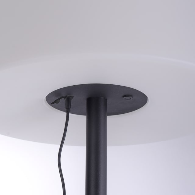 Leuchten Direkt LED Außen-Stehlampe »HOLLY«, 1 flammig-flammig, LED online  kaufen | mit 3 Jahren XXL Garantie