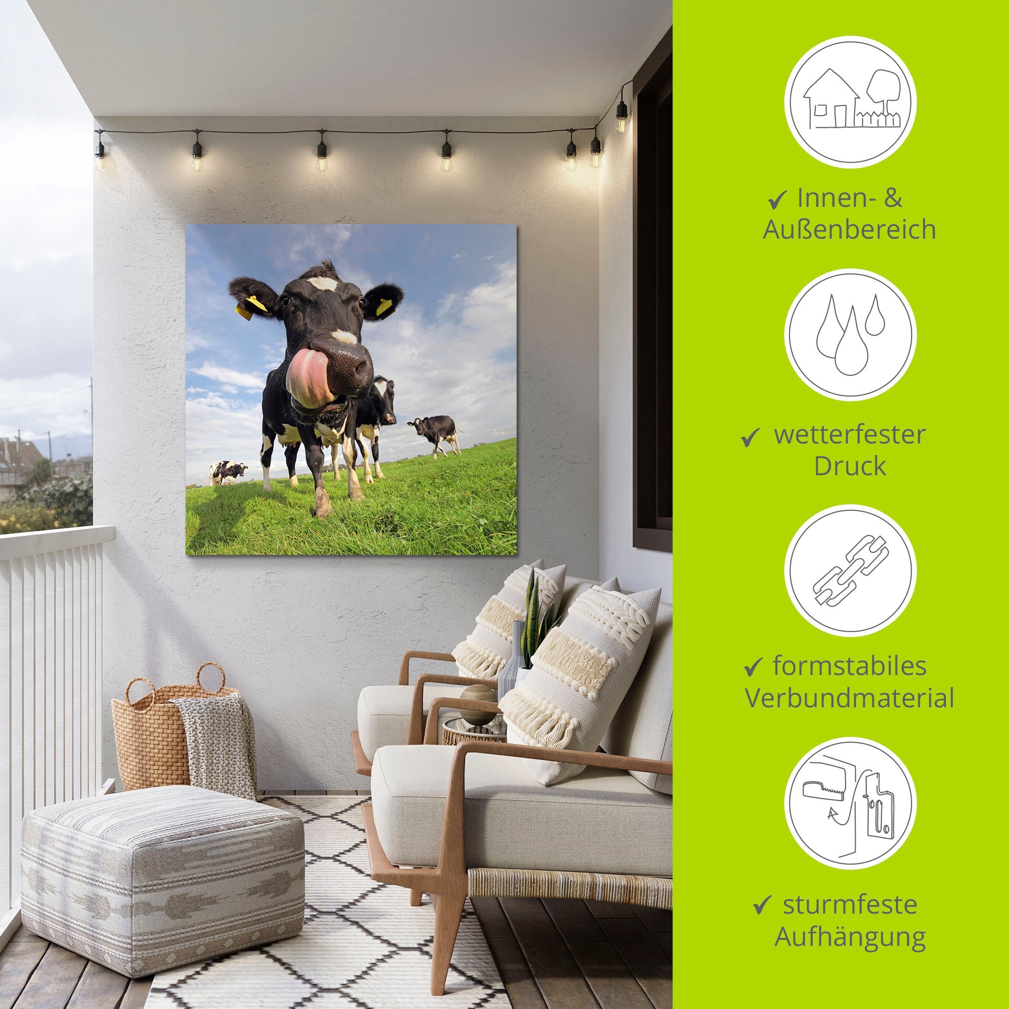 Artland Alu-Dibond-Druck »Holstein-Kuh mit gewaltiger Zunge« Haustiere 1 Stk. tlg. für Innen- und Außenbereich geeignet, Outdoorbild