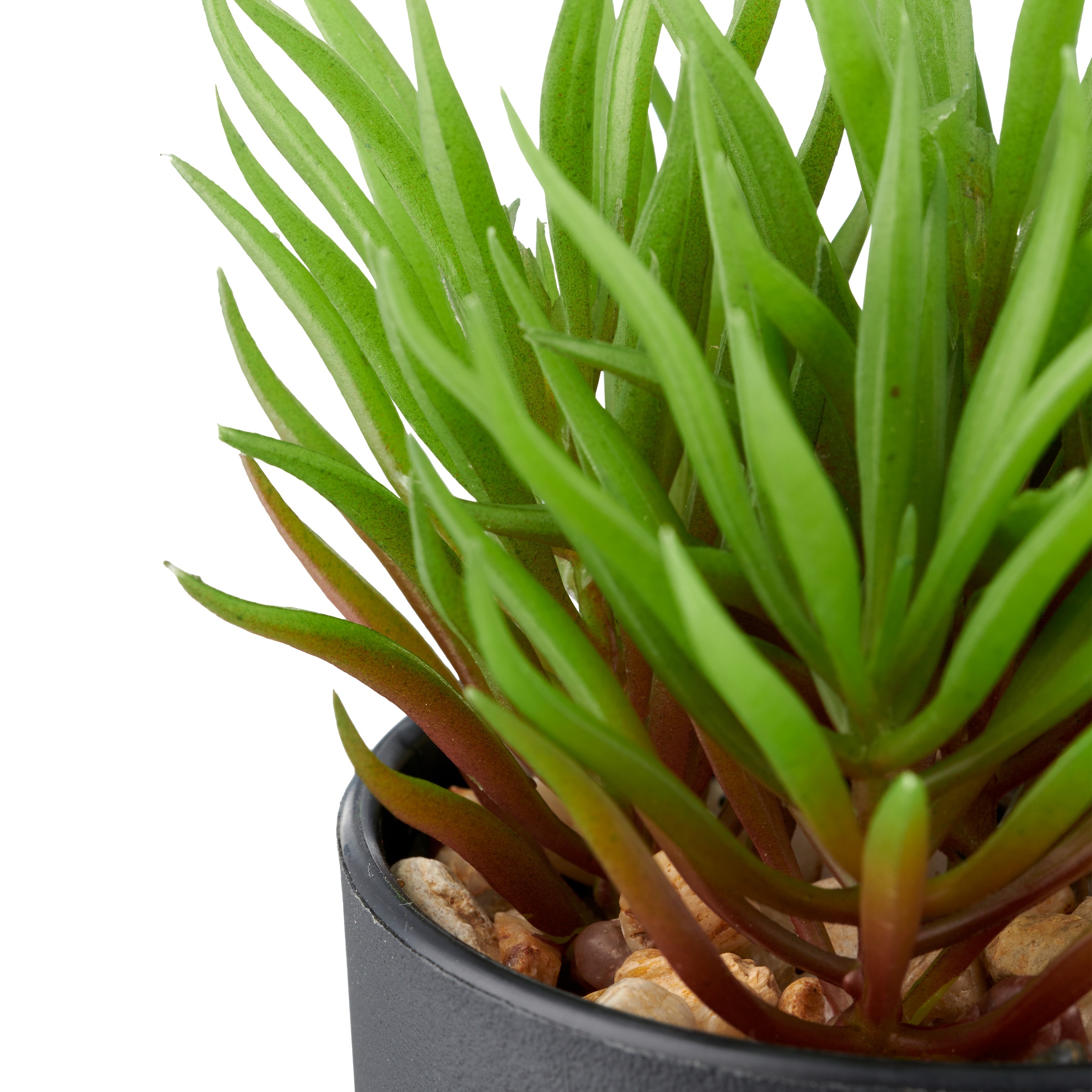 Creativ green Kunstpflanze »Sukkulenten« mit dekorativem Kies