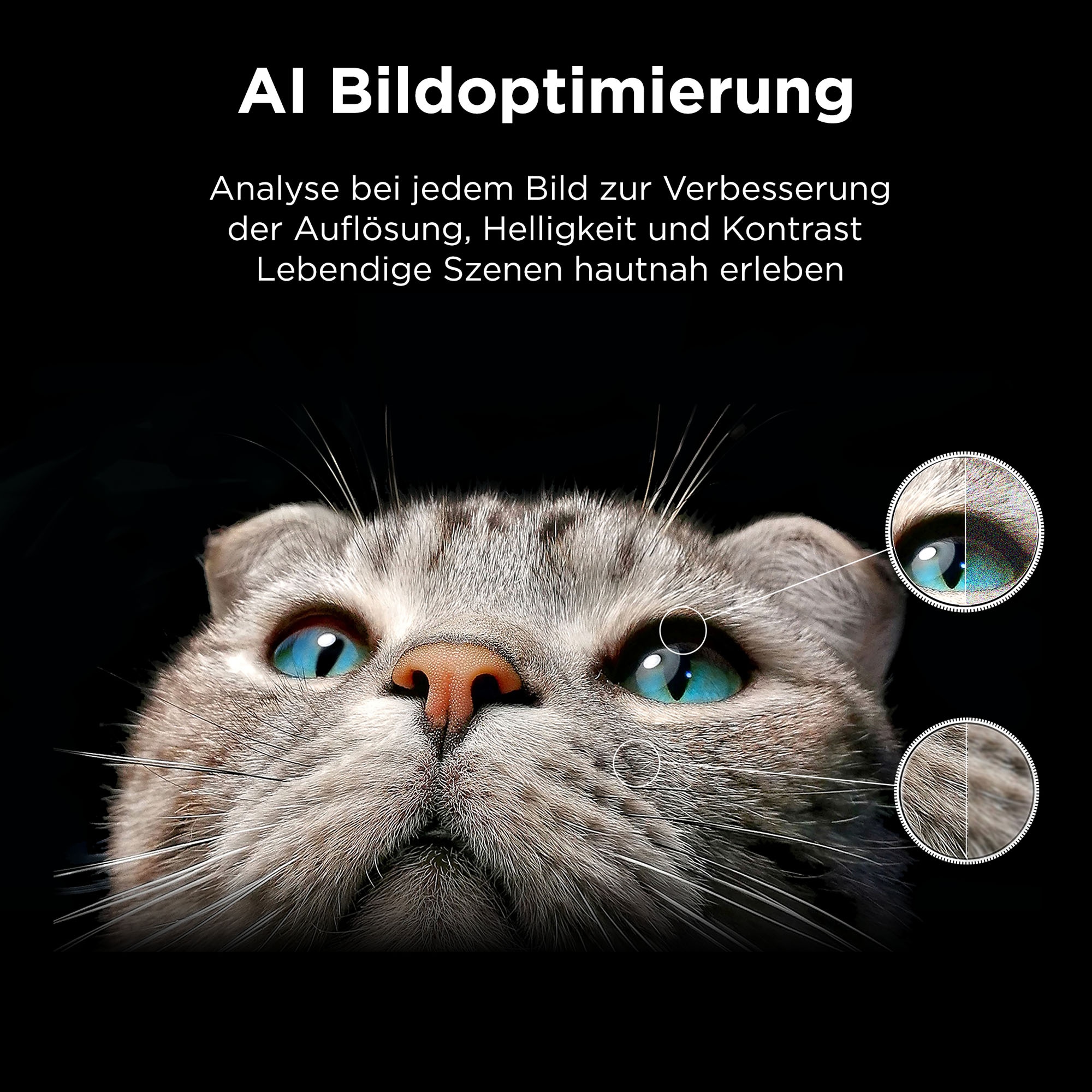 TCL QLED-Fernseher »75P71KX1« 189 cm/75 Smart-TV Multi-HDR , Dolby Vision, Smart TV, Airplay2, Dolby Atmos, Game Master