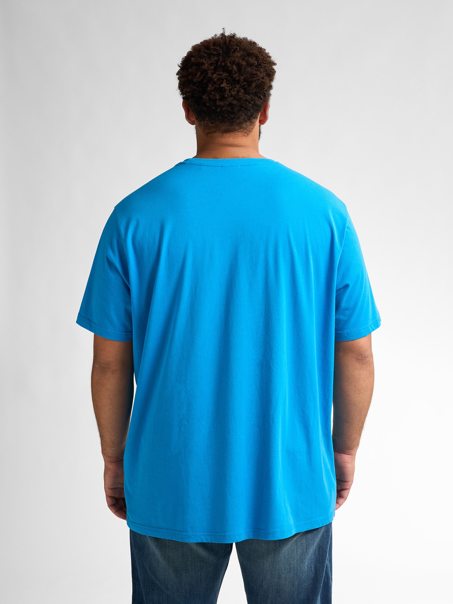 Petrol Industries Rundhalsshirt mit Logo Stickerei