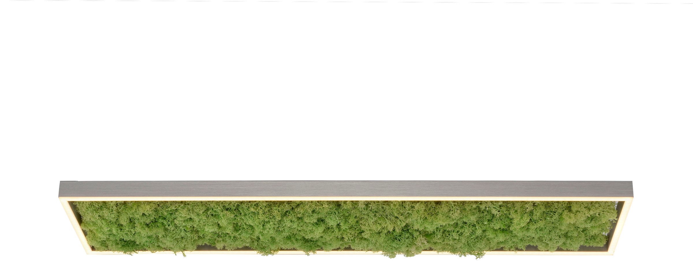 JUST LIGHT Deckenleuchte »GREEN KNUT«, 1 flammig, Leuchtmittel LED-Board | LED fest integriert