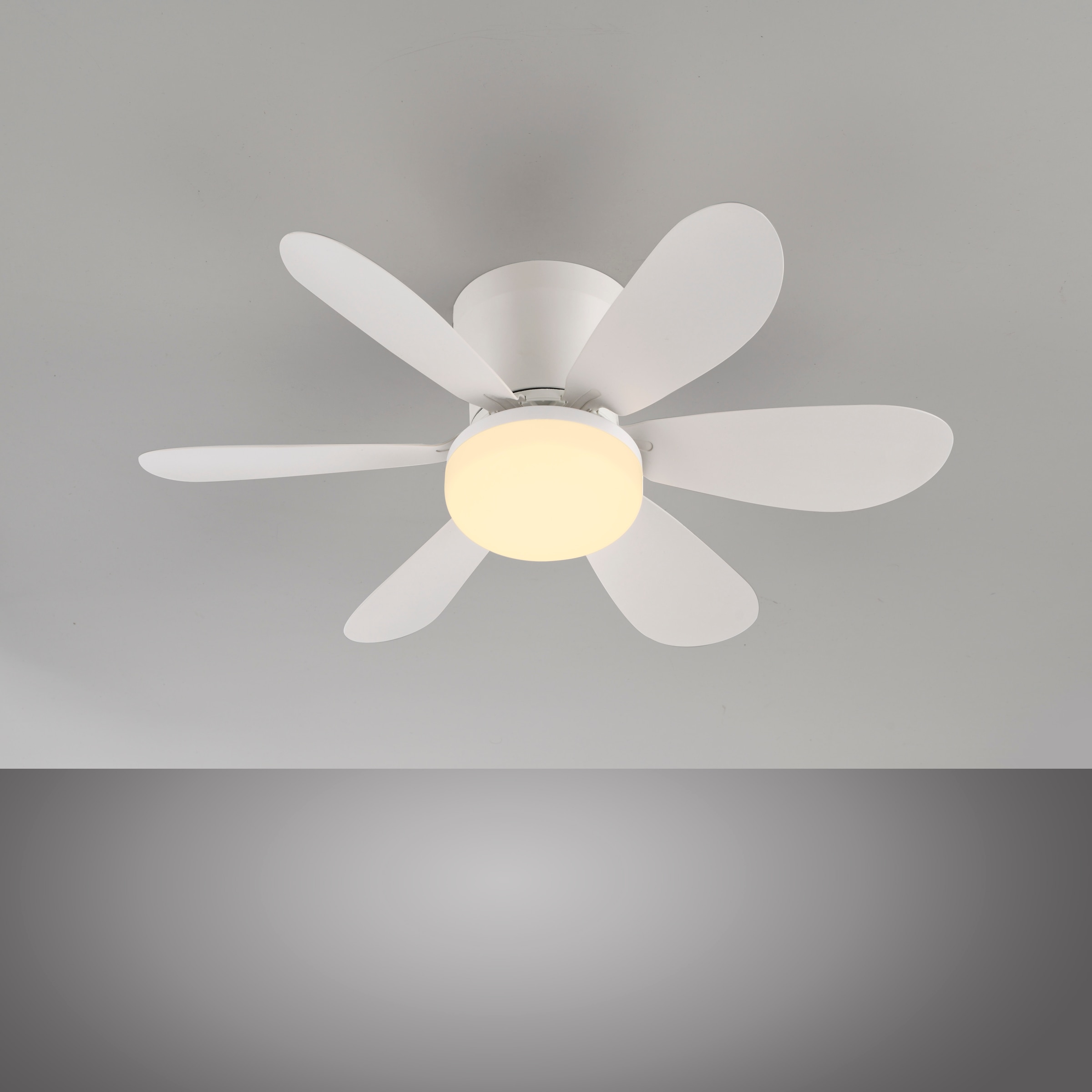 JUST LIGHT LED Deckenleuchte »MINIAIR« LED-Board 1 Stk. warmweiß - kaltweiß Ventilatorfunktion in 3 Geschwindigkeitsstufen, mit Timer 2h/4h/8h