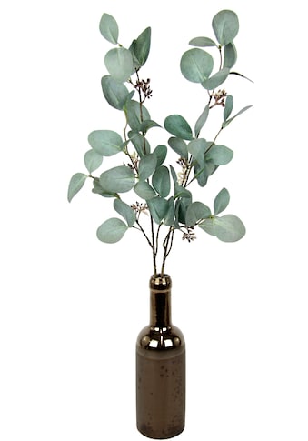 I.GE.A. Kunstzweig »Eukalyptus«, (1 St.), In Keramikvase kaufen