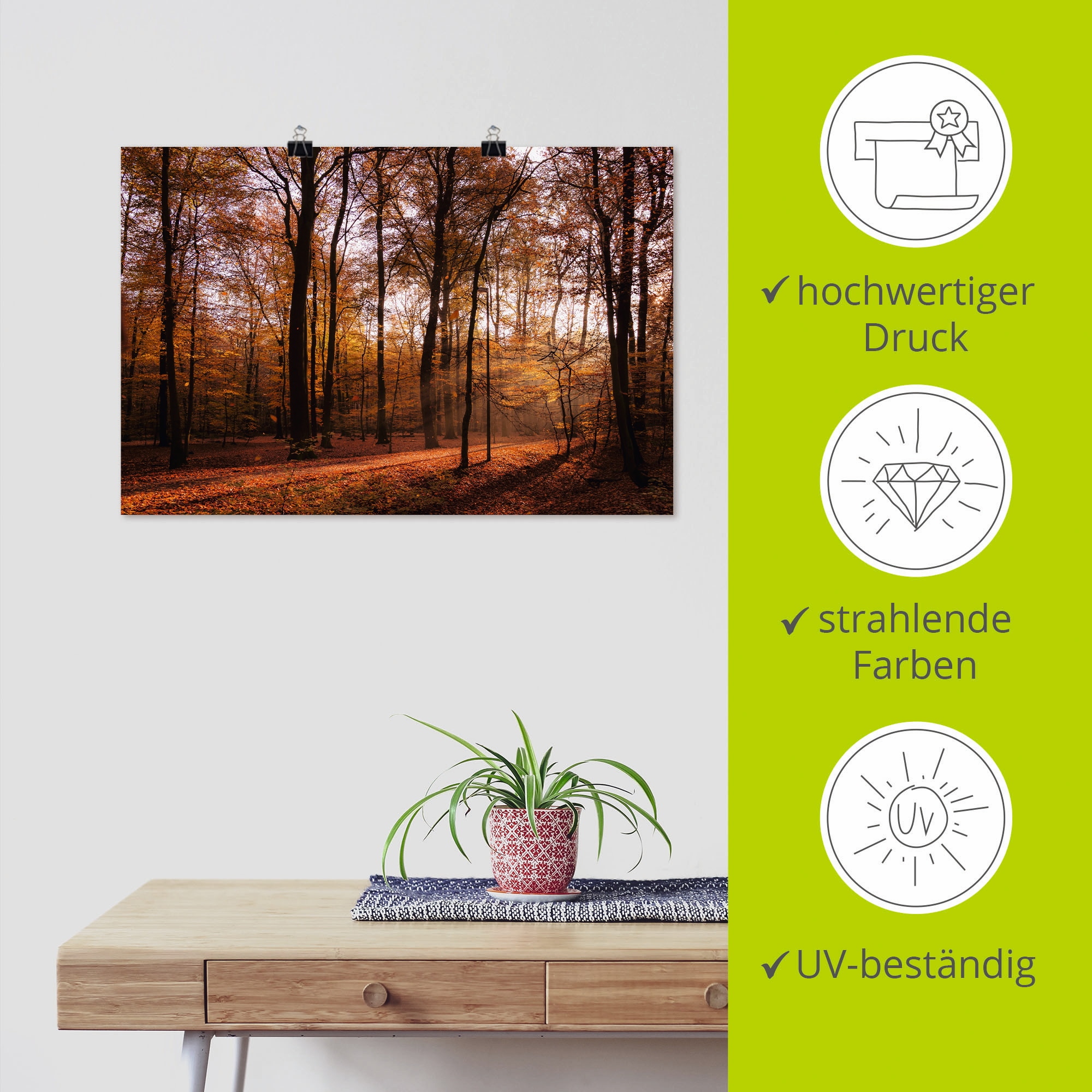 Artland Wandbild »Sonnenaufgang im Herbst II«, Wald, (1 St.), als Alubild, Outdoorbild, Leinwandbild, Poster, Wandaufkleber