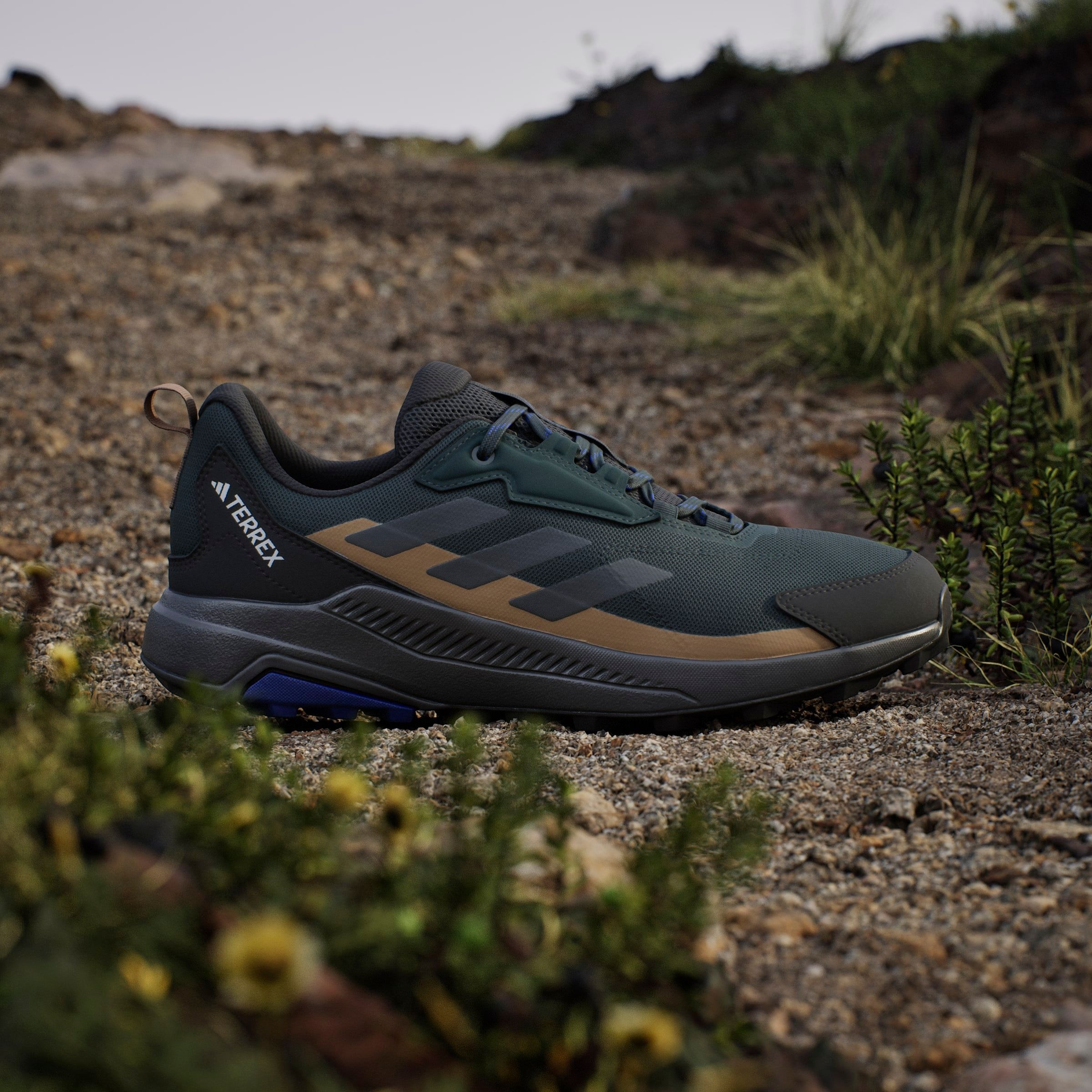adidas TERREX Wanderschuh »TERREX ANYLANDER«