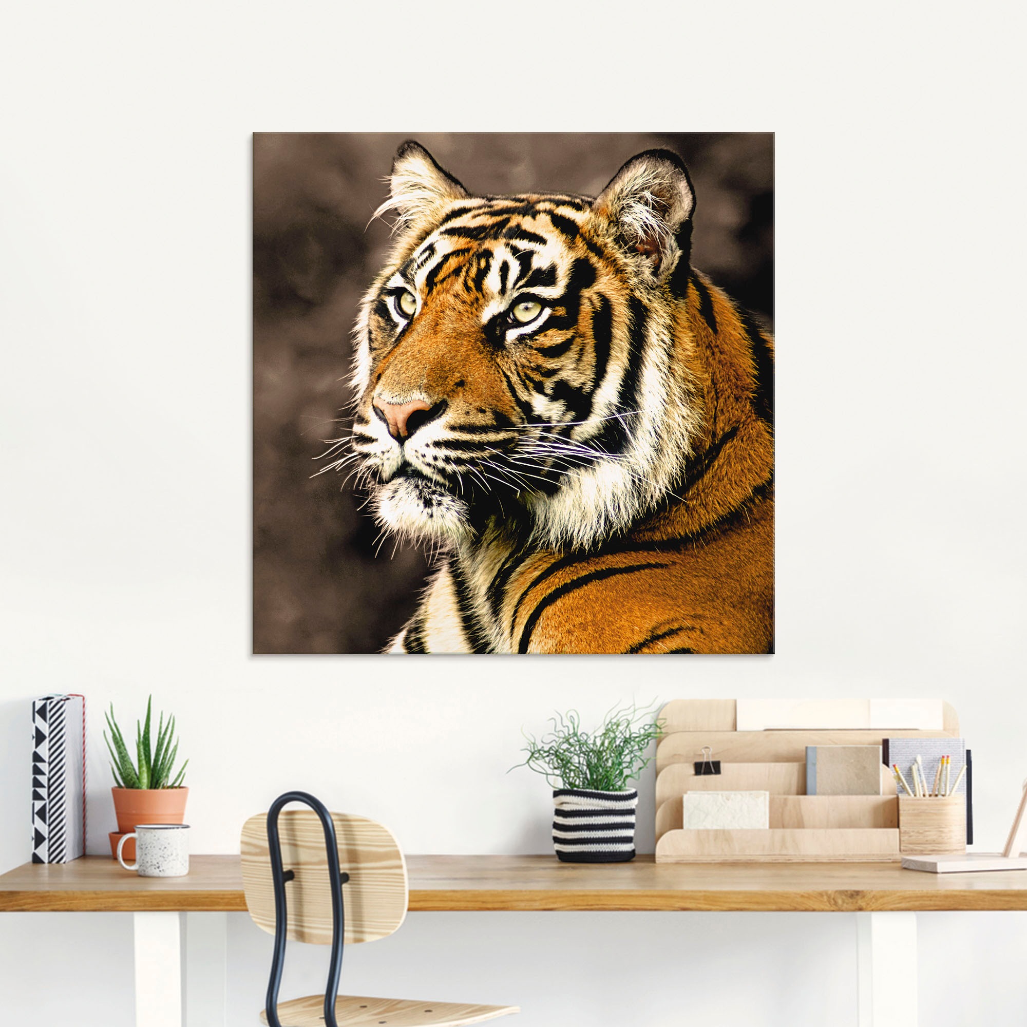 »Tiger_sepia«, in St.), auf Glasbild Wildtiere, Größen (1 kaufen verschiedenen Rechnung Artland